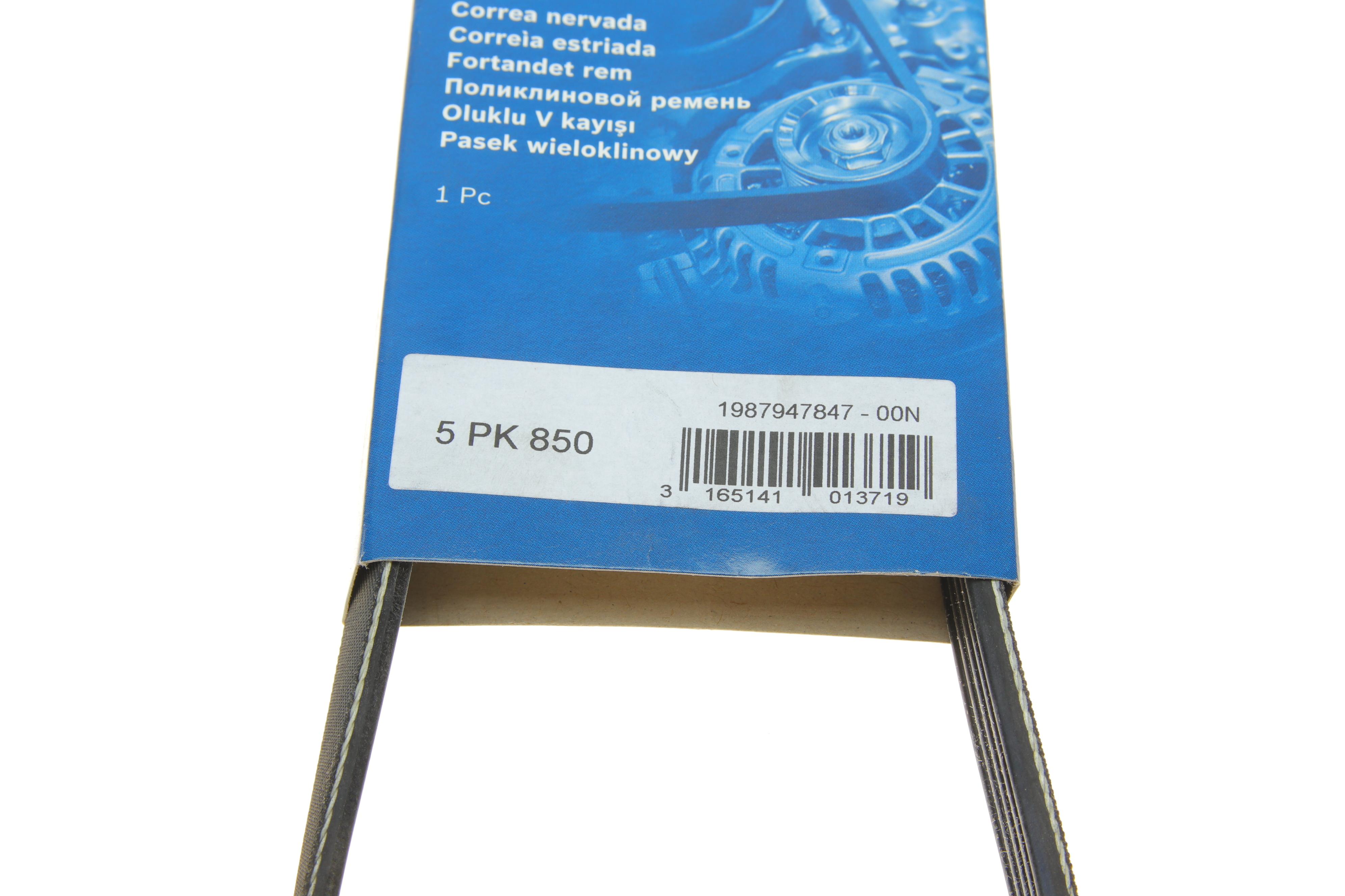 Ремінь генератора Ford Focus/Kuga 2.5 05- (5PK850)