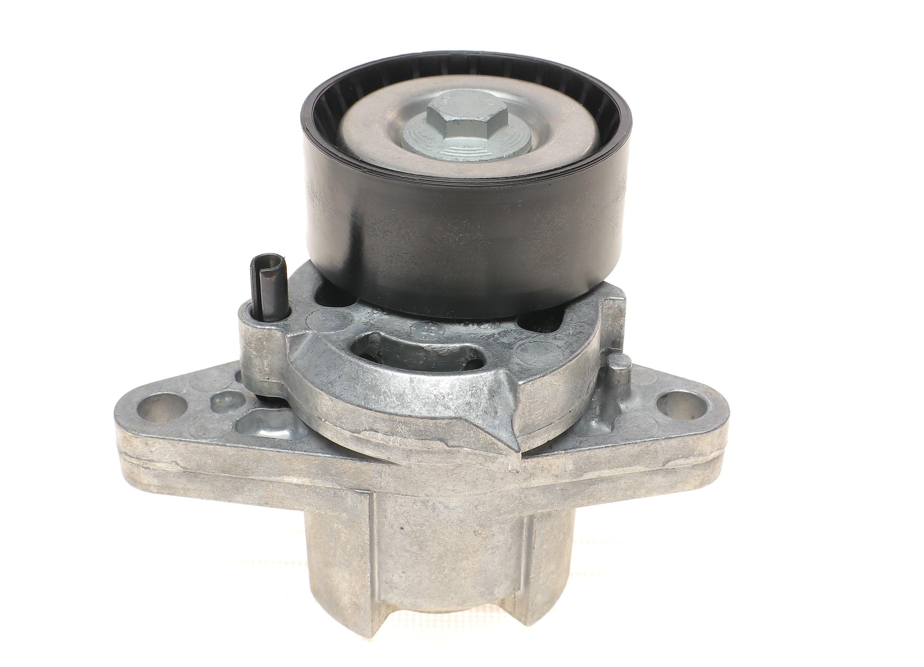 Натяжник ременя генератора Renault Kangoo 1.4/1.6i 97- (+AC), K7J/E7J/K4M