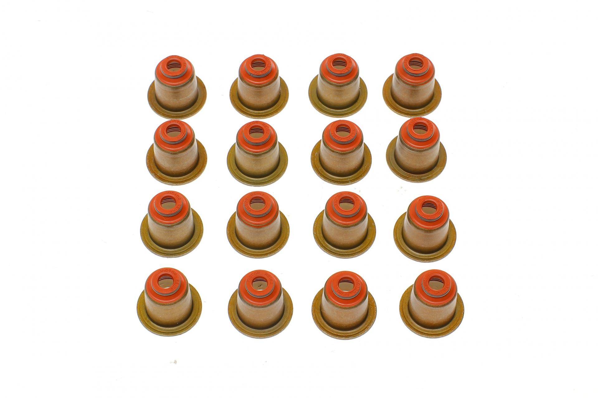 Сальник клапана (впуск/випуск) BMW 3(E90)/5(E39)/7(E38) 2.0D/3.9D 07-11 (к-кт 16шт)