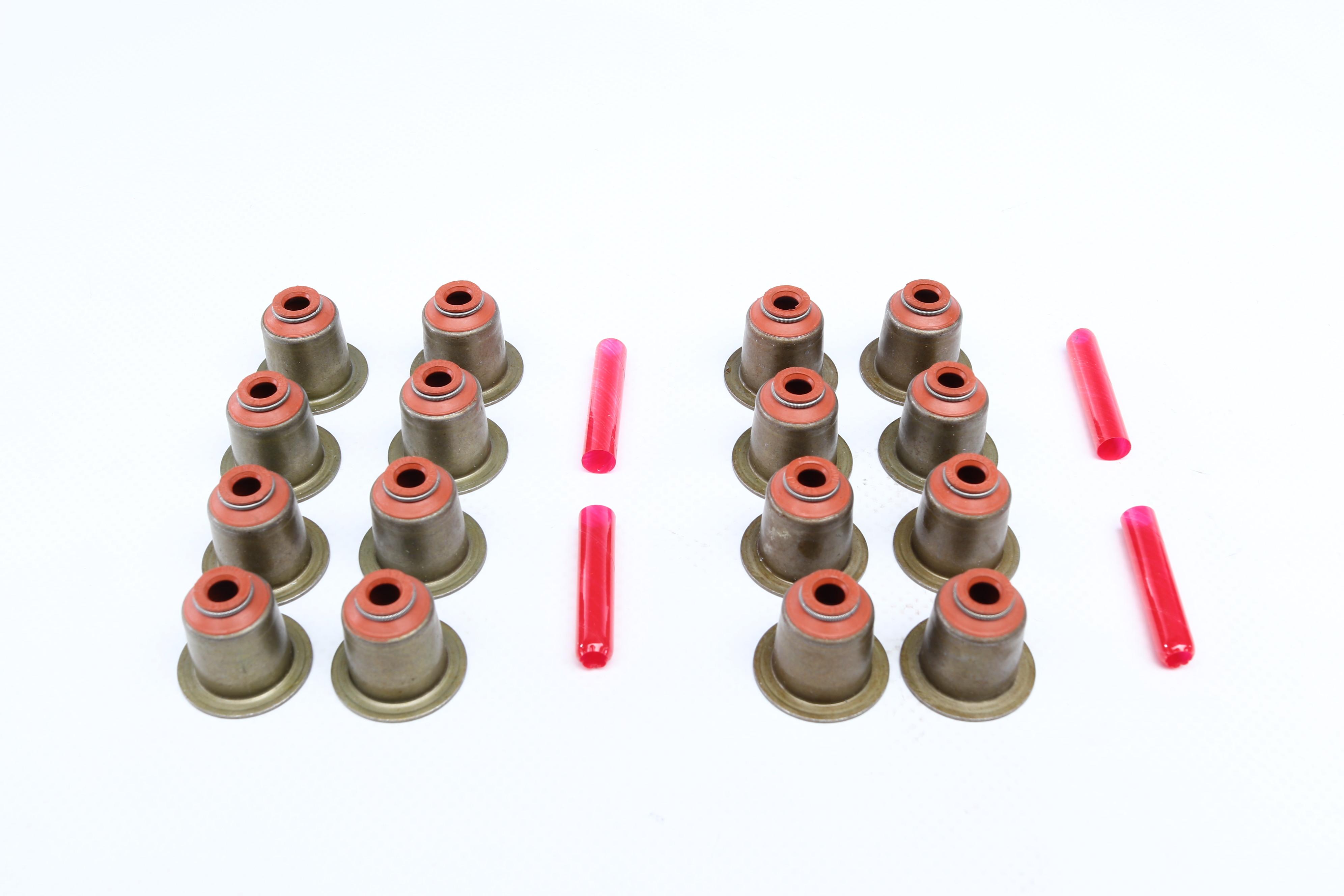 Сальник клапана (впуск/випуск) BMW 3(E90)/5(E39)/7(E38) 2.0D/3.9D 07-11 (к-кт 16шт)