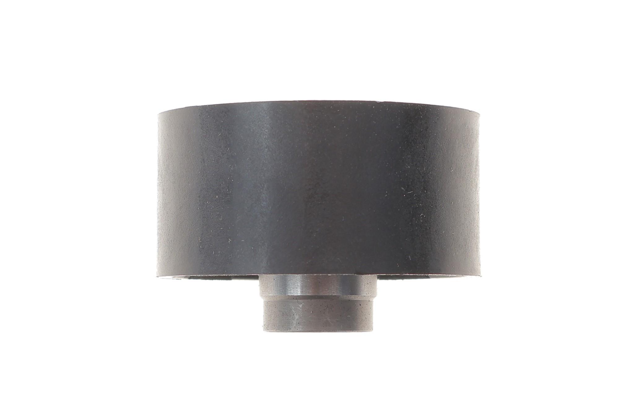 Ролик ГРМ Fiat Scudo 1.9-2.0 D/HDI (паразитний) (60х40)