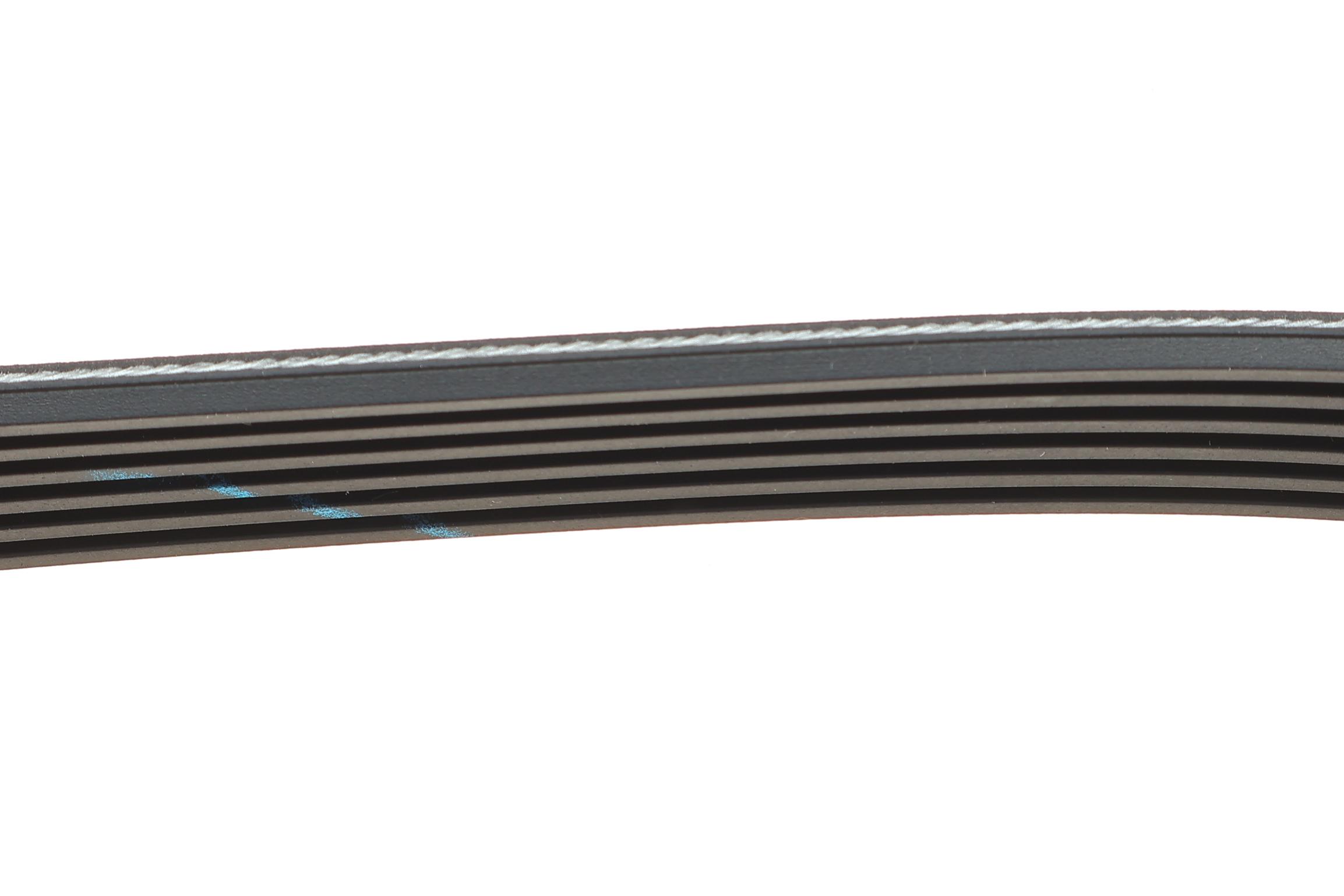 Ремінь генератора Citroen Berlingo 1.6HDI 06-/Fiat Ducato/Doblo 2.0D 10-/Scudo 1.6D 07- (6PK1705)