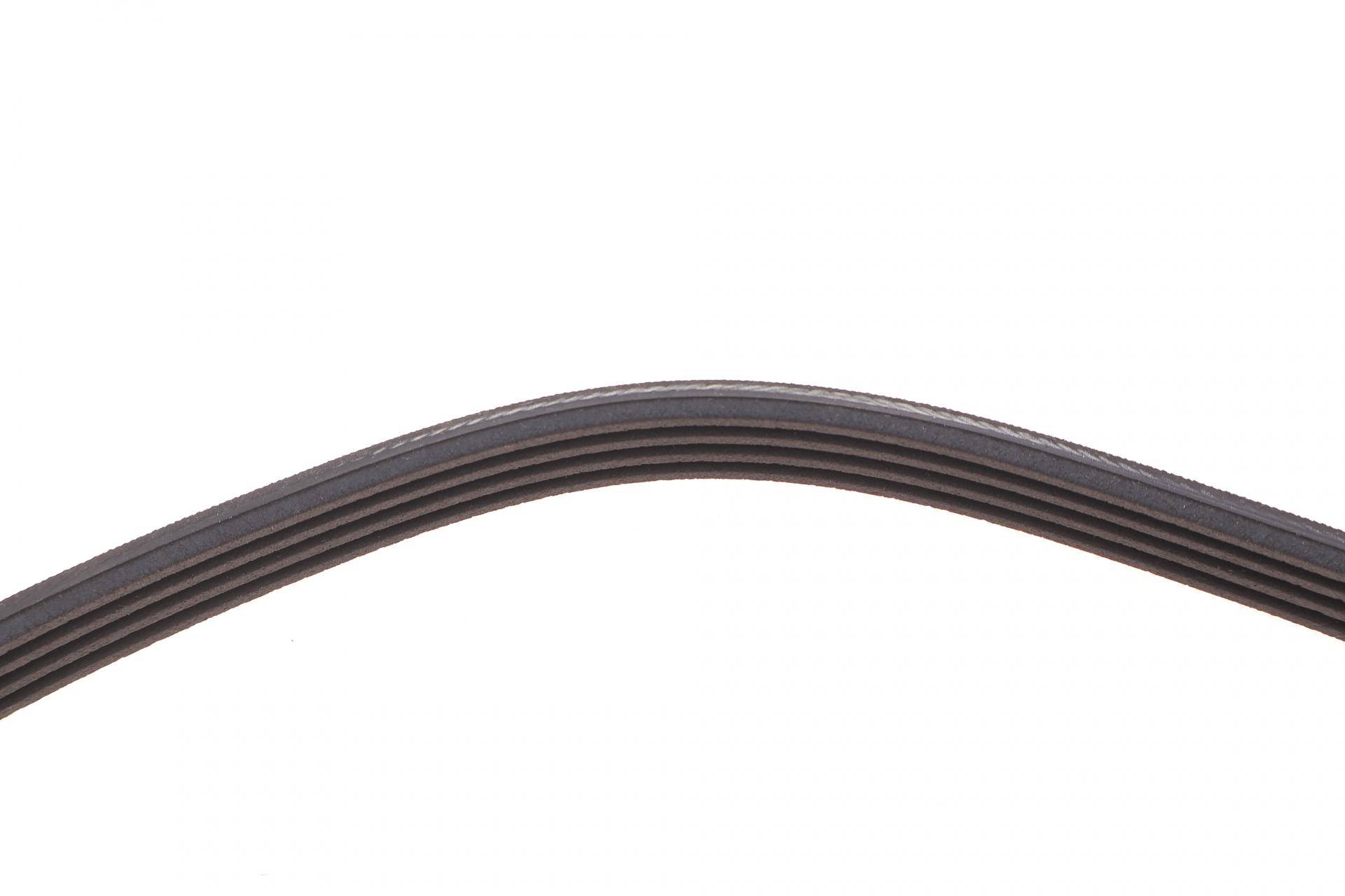 Ремінь генератора Ford Transit 2.0 TDCI 00-06 (4PK735)