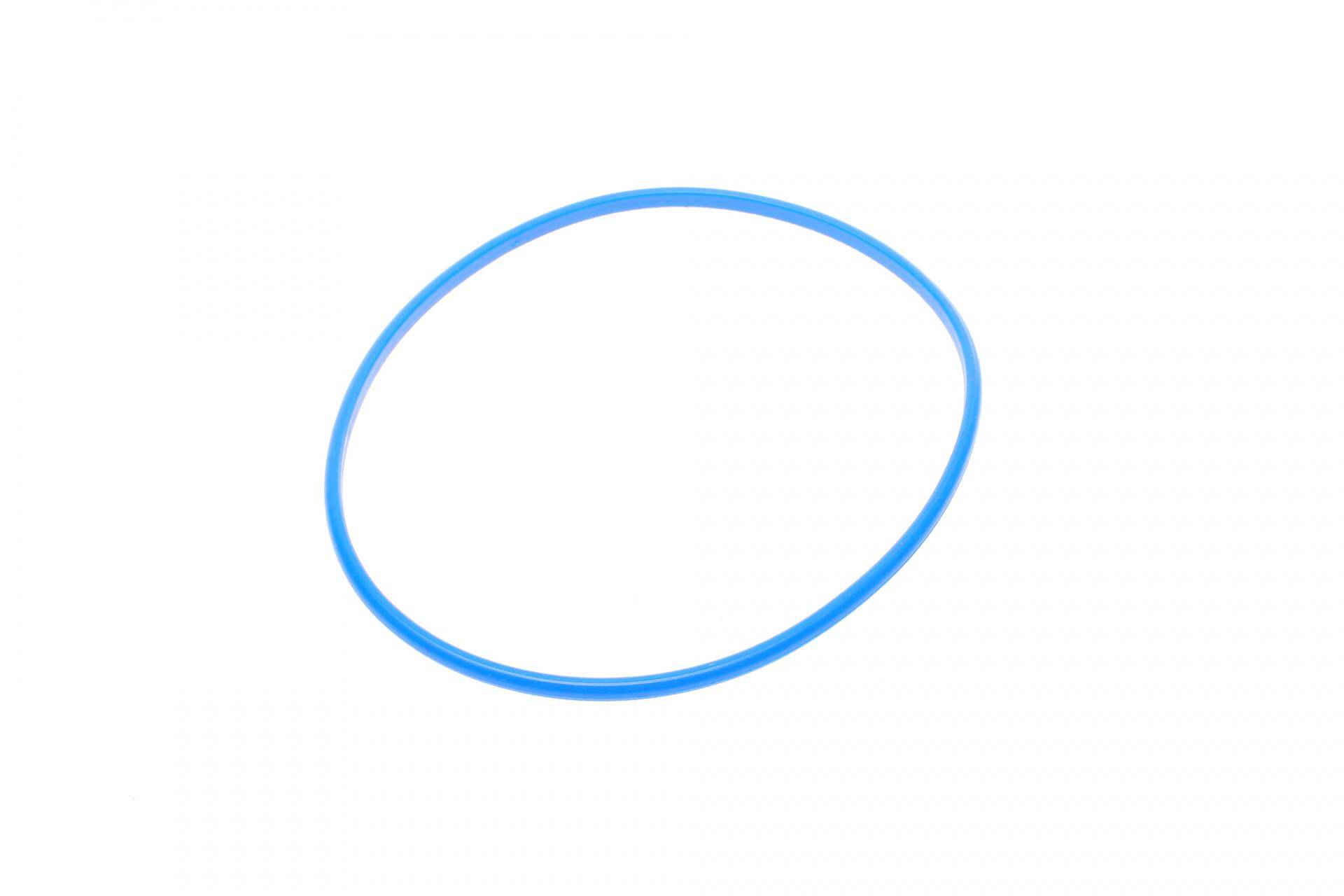 Кришка насосу паливного в бак Fiat Scudo 94- (+ кільце)