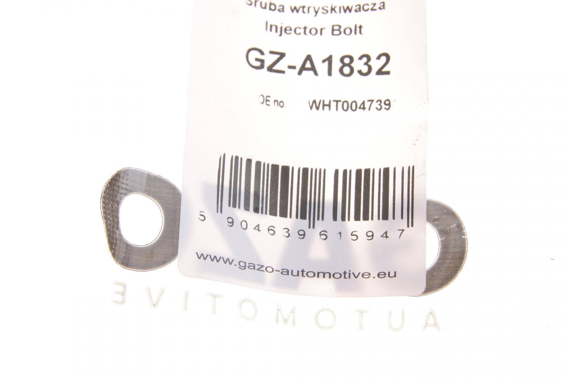 Болт кріплення форсунки VW Caddy/T5 2.0TDI 10- (к-кт 2шт.)