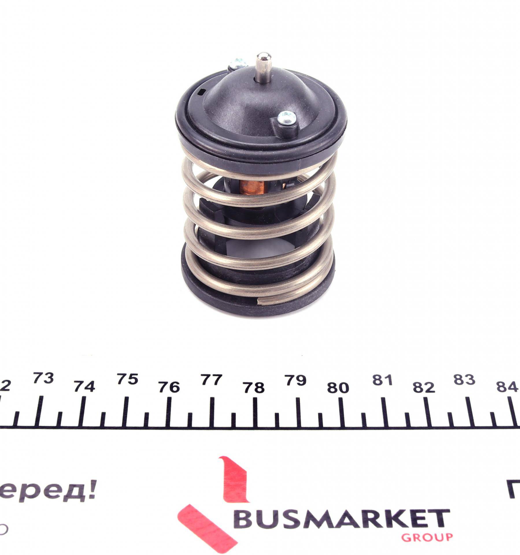 Термостат BMW 1 (F20)/X5 (E70)/5 (F10) 1.6-3.0D 04-