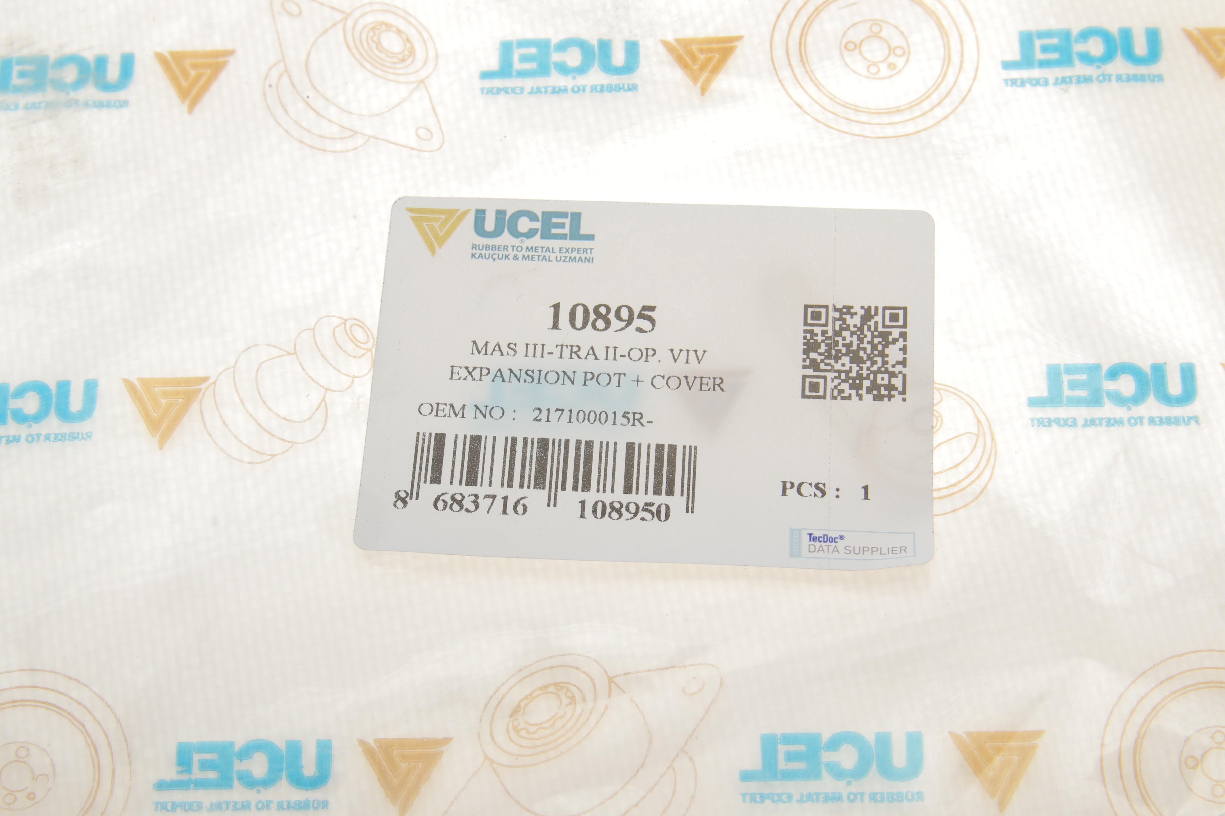 Бачок розширювальний Renault Master III 2.3dCi 10-