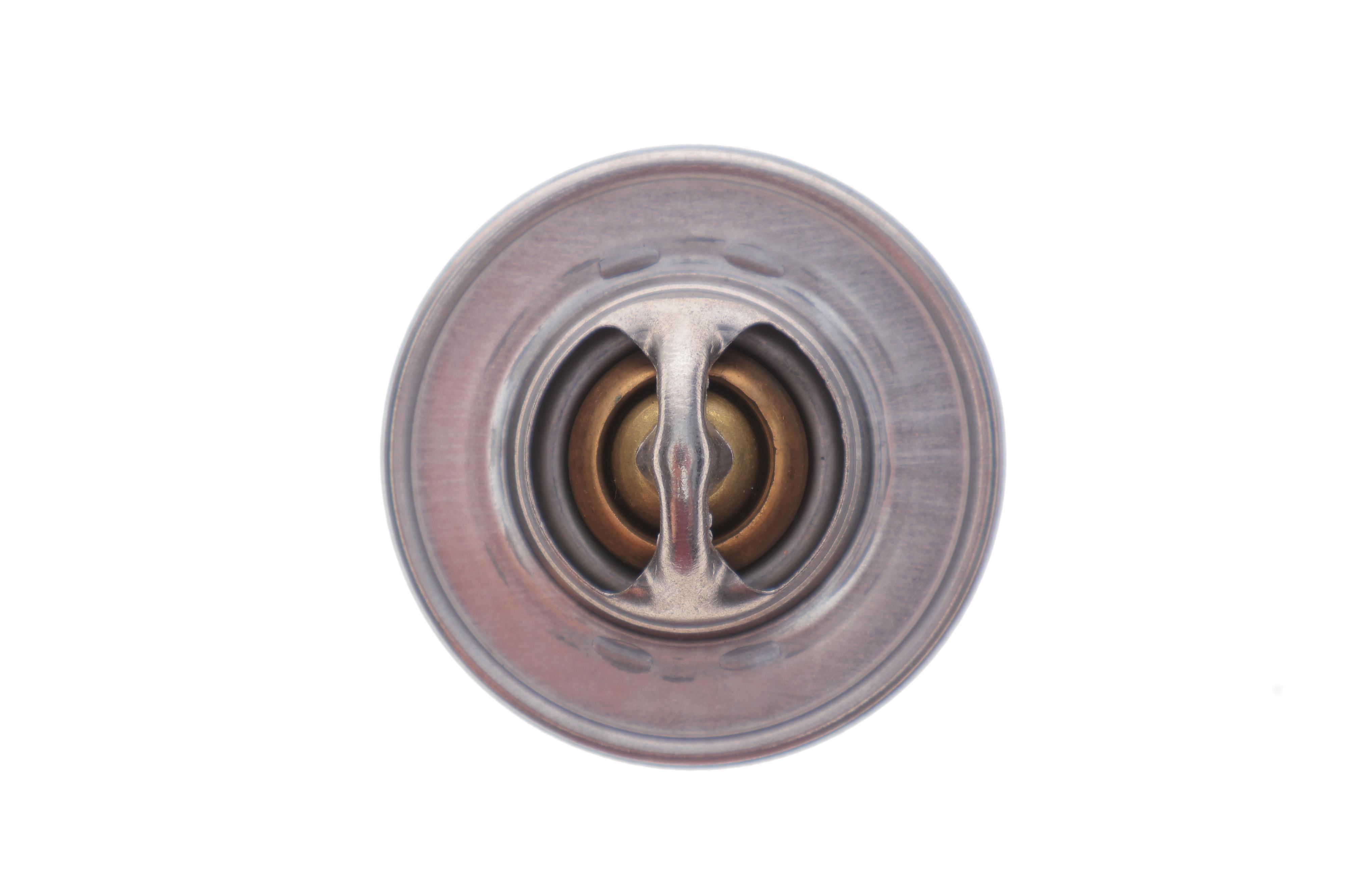 Термостат VW T5 2.0i 03-