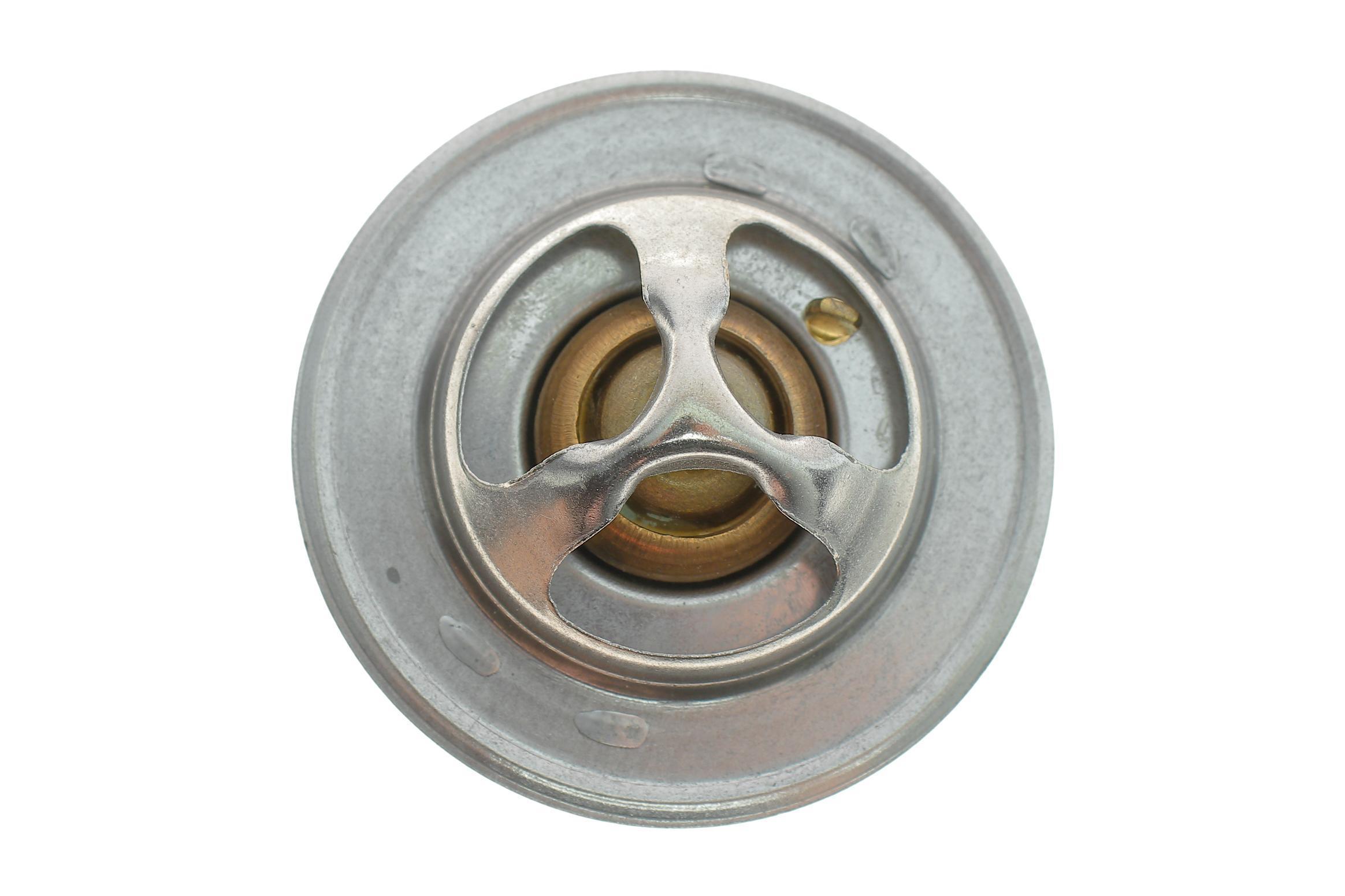 Термостат Ford Escort/Hyundai Accent 1.3/1.5i/Terracan 2.9CRDi 97-