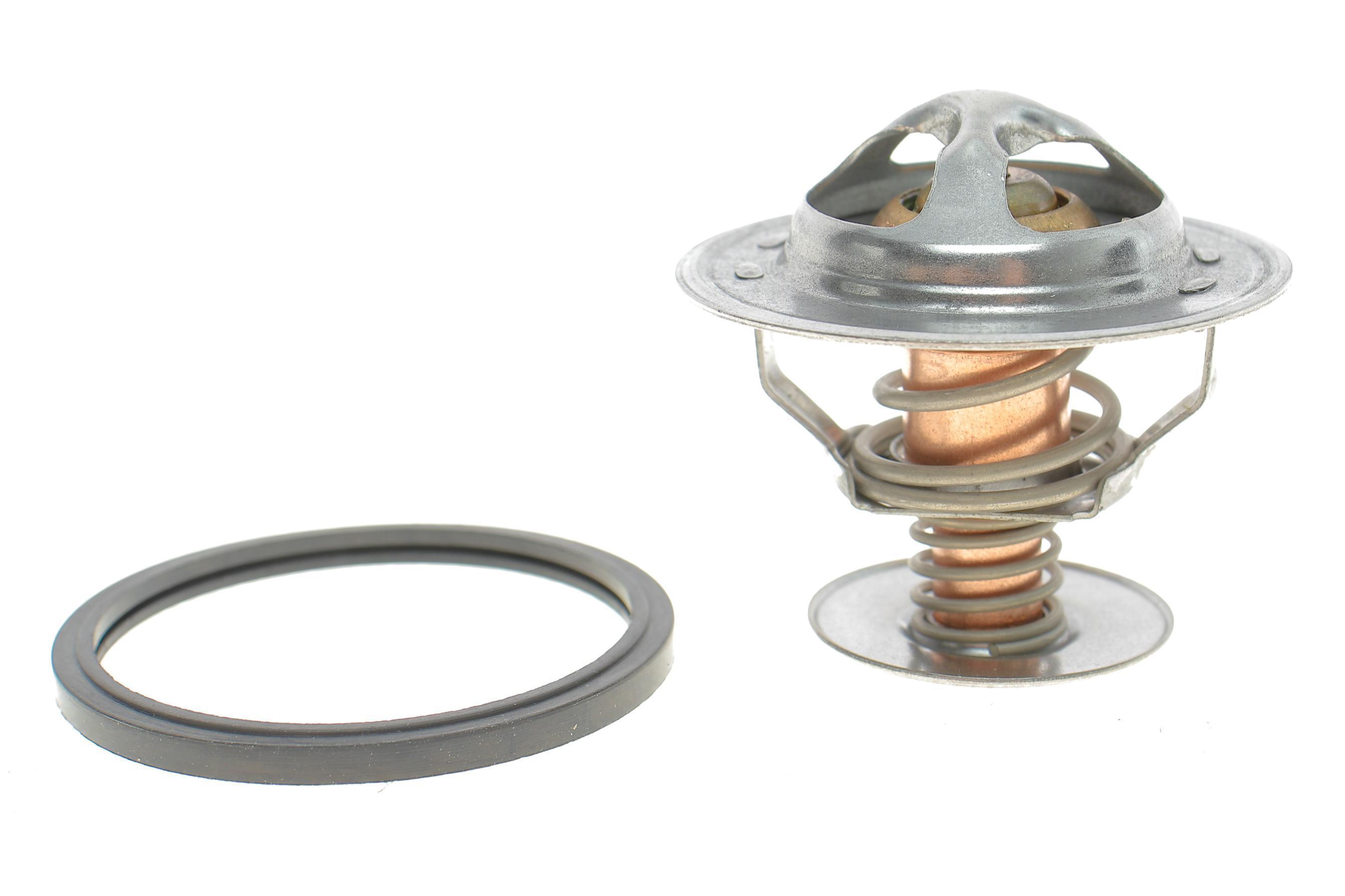 Термостат Ford Escort/Hyundai Accent 1.3/1.5i/Terracan 2.9CRDi 97-