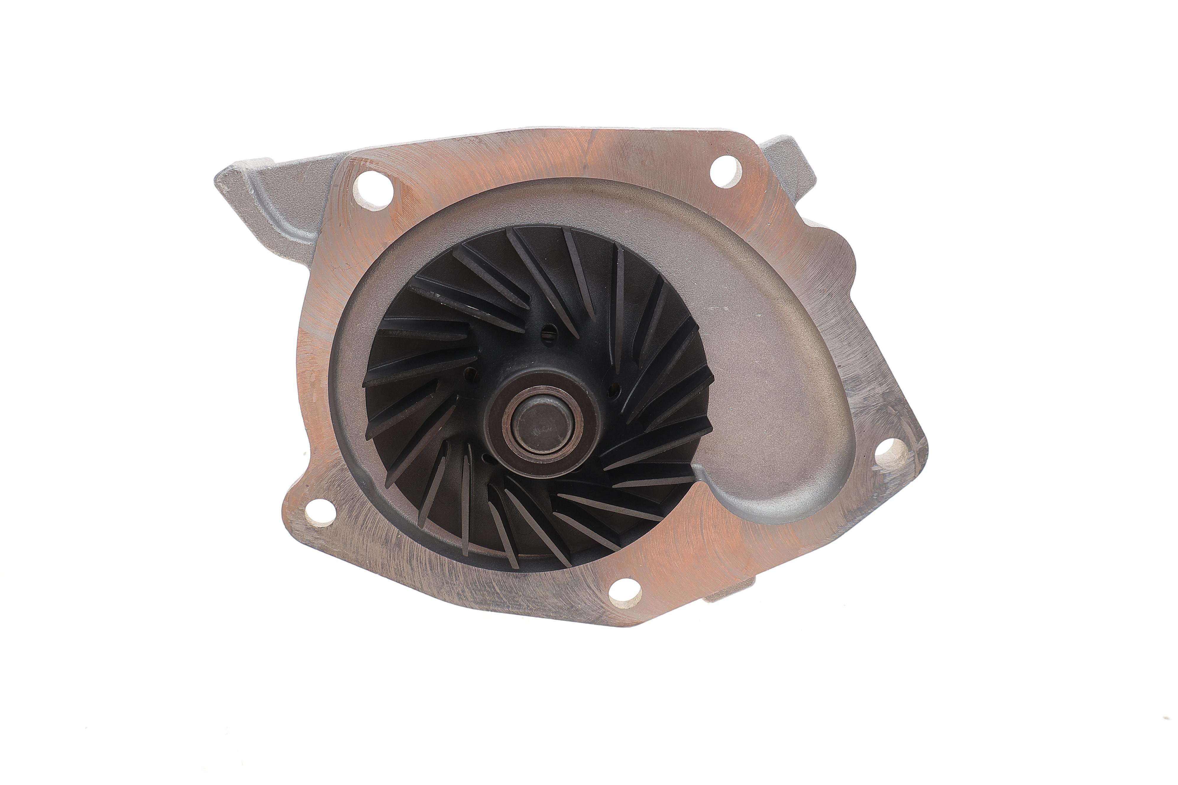 Помпа води Renault Scenic III/Megane III 1.9 dCi 08- (F9Q 872, F9Q 870)