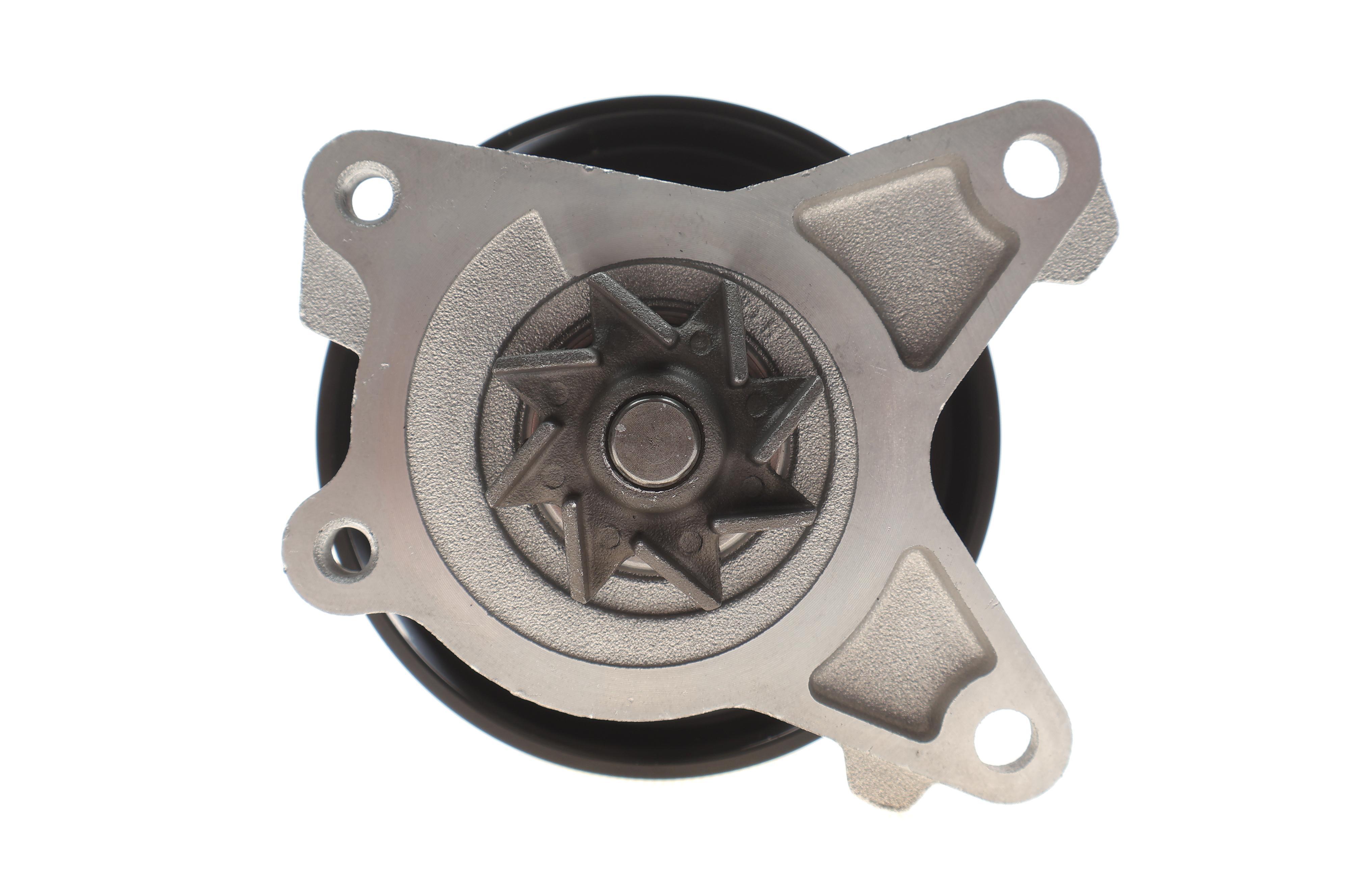 Помпа води Renault Clio/Laguna III/Megane III/Scenic III 2.0 06-, M4R 711/713/710