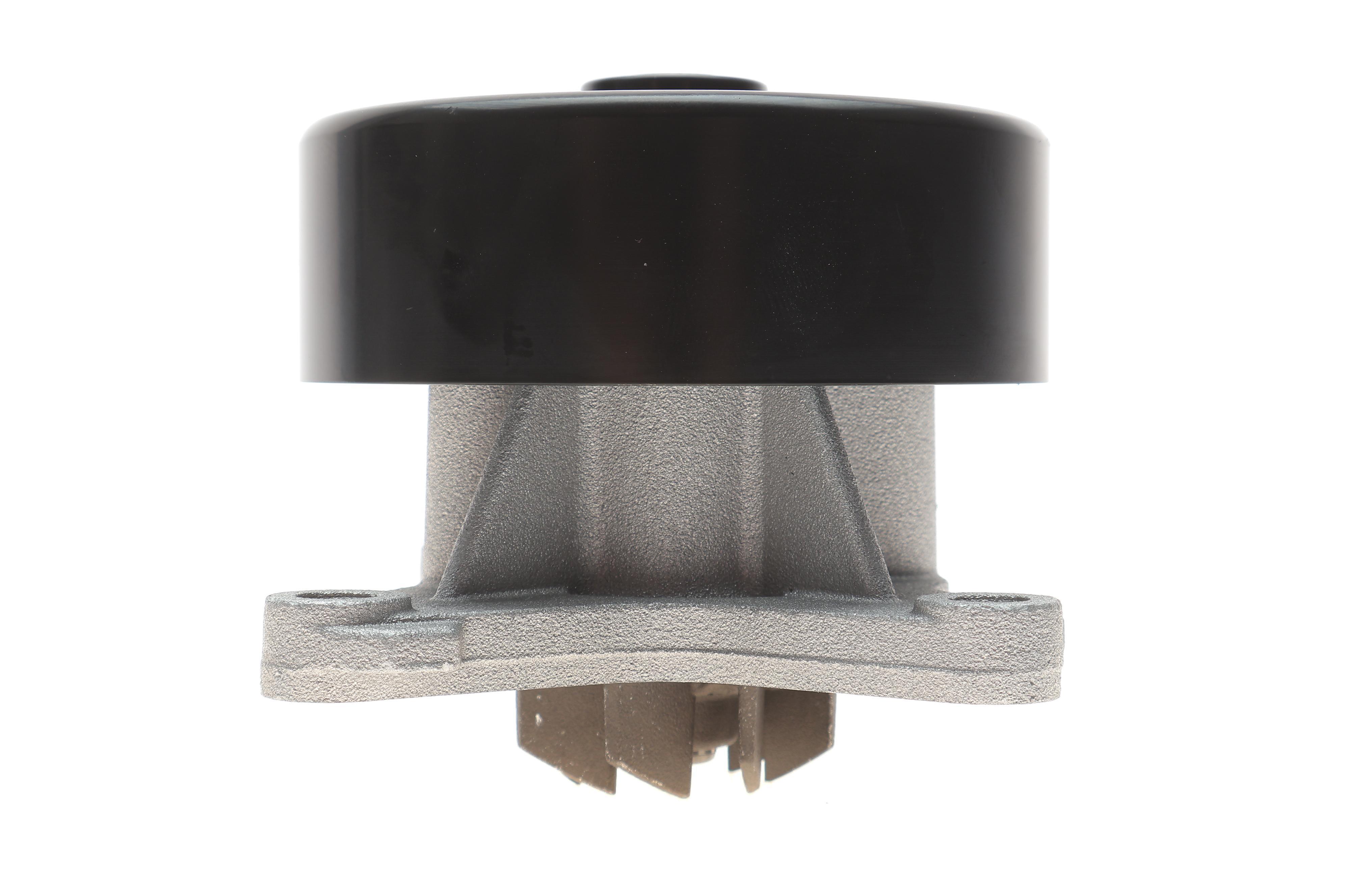 Помпа води Renault Clio/Laguna III/Megane III/Scenic III 2.0 06-, M4R 711/713/710