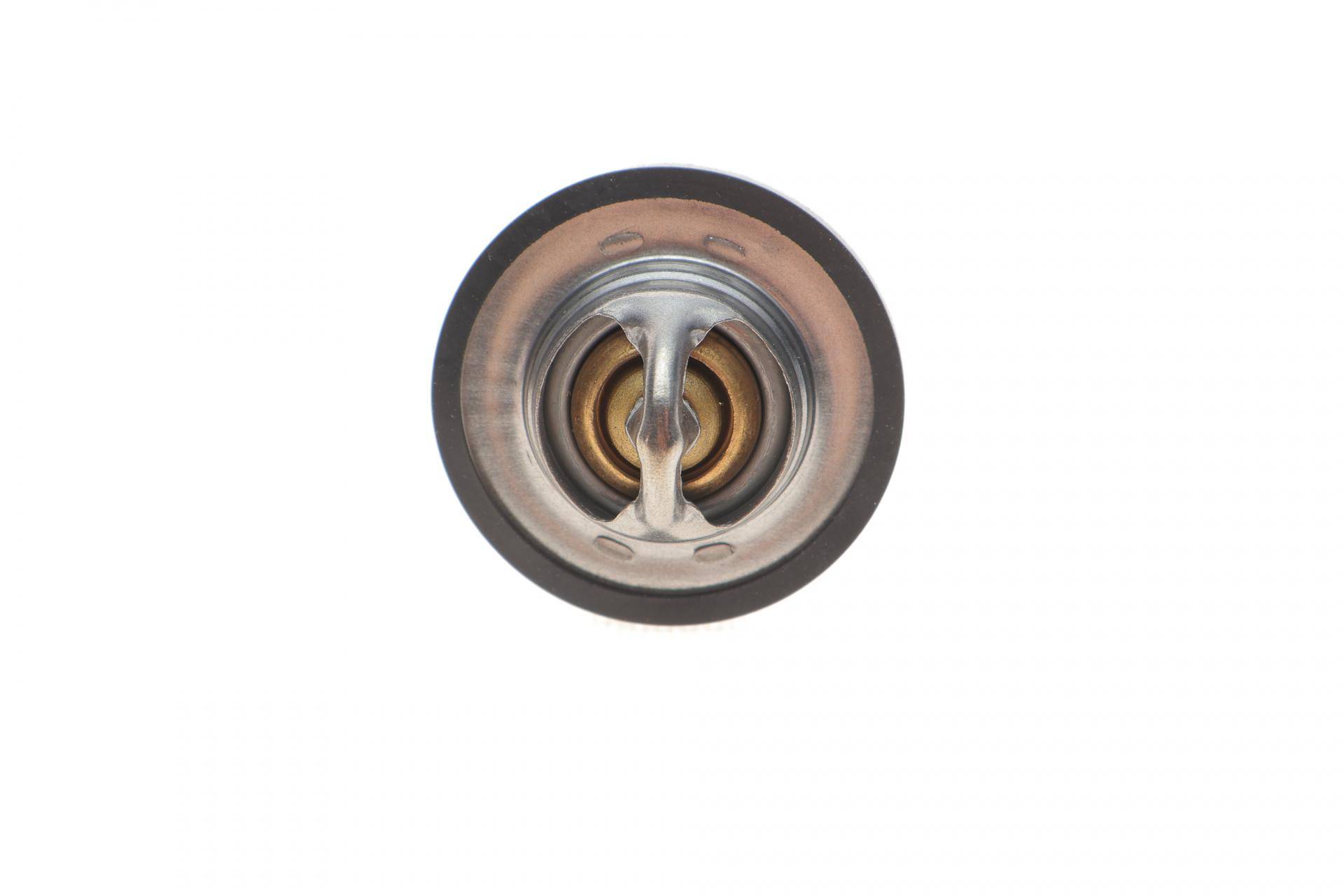 Термостат Fiat Scudo/Peugeot Expert 2.0 16V 00-