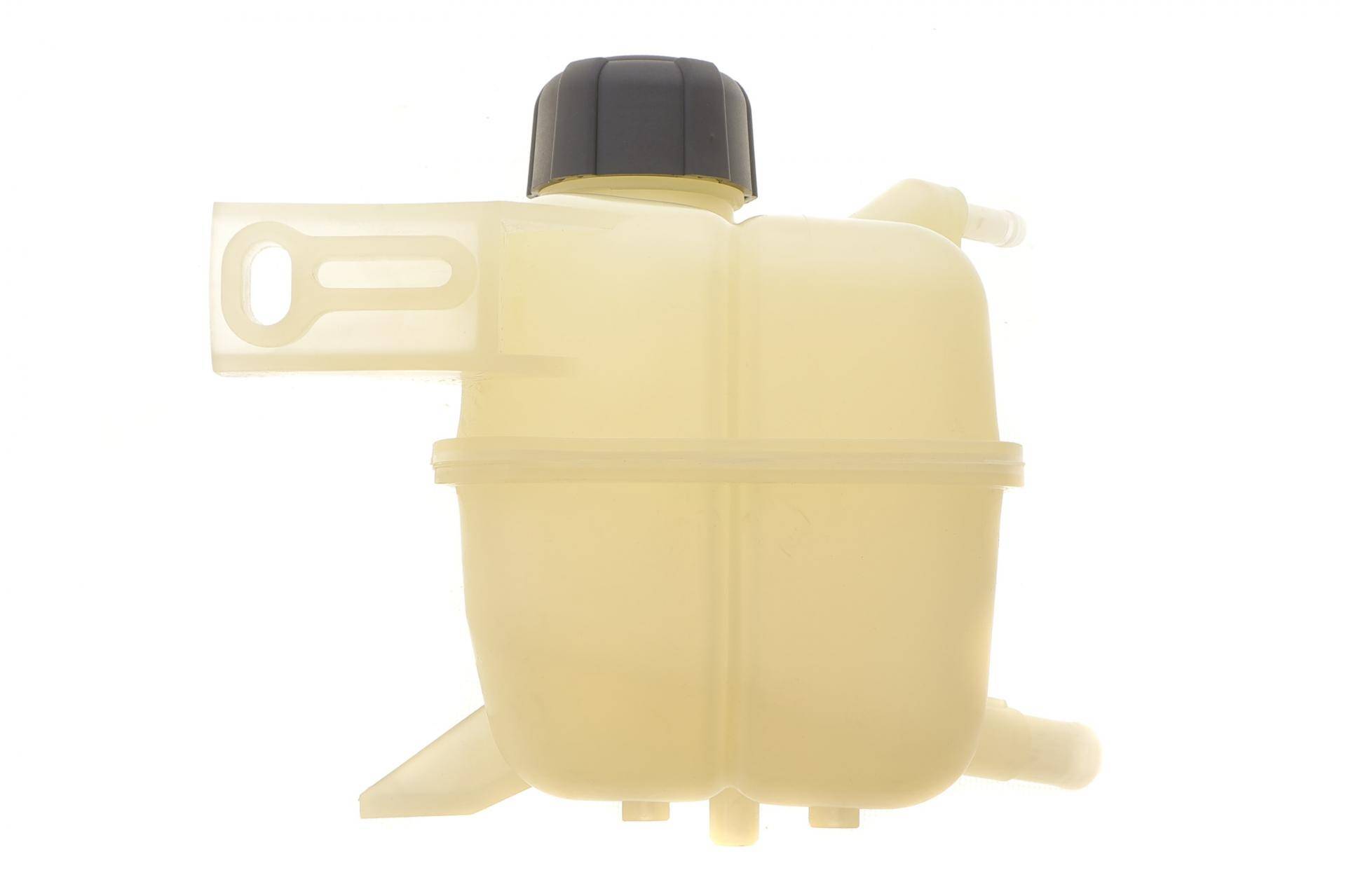 Бачок розширювальний Renault Koleos 2.0 dCi 08-