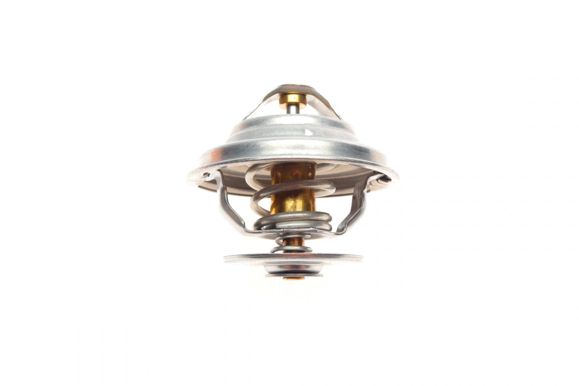 Термостат DAF/MAN/Neoplan 98- (83 °C)