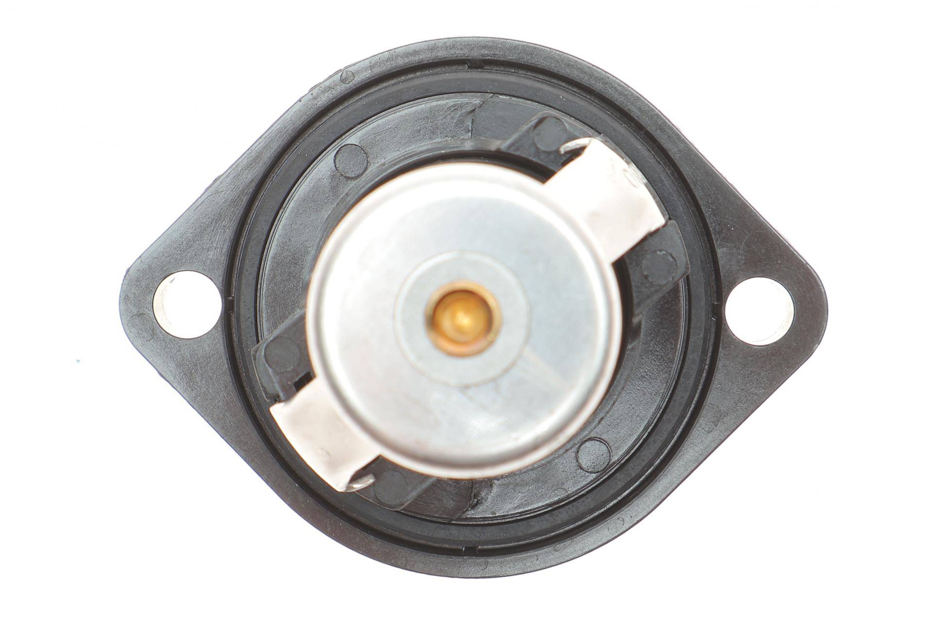 Термостат Fiat Scudo/Peugeot Expert 2.0 16V 00- (89°C)