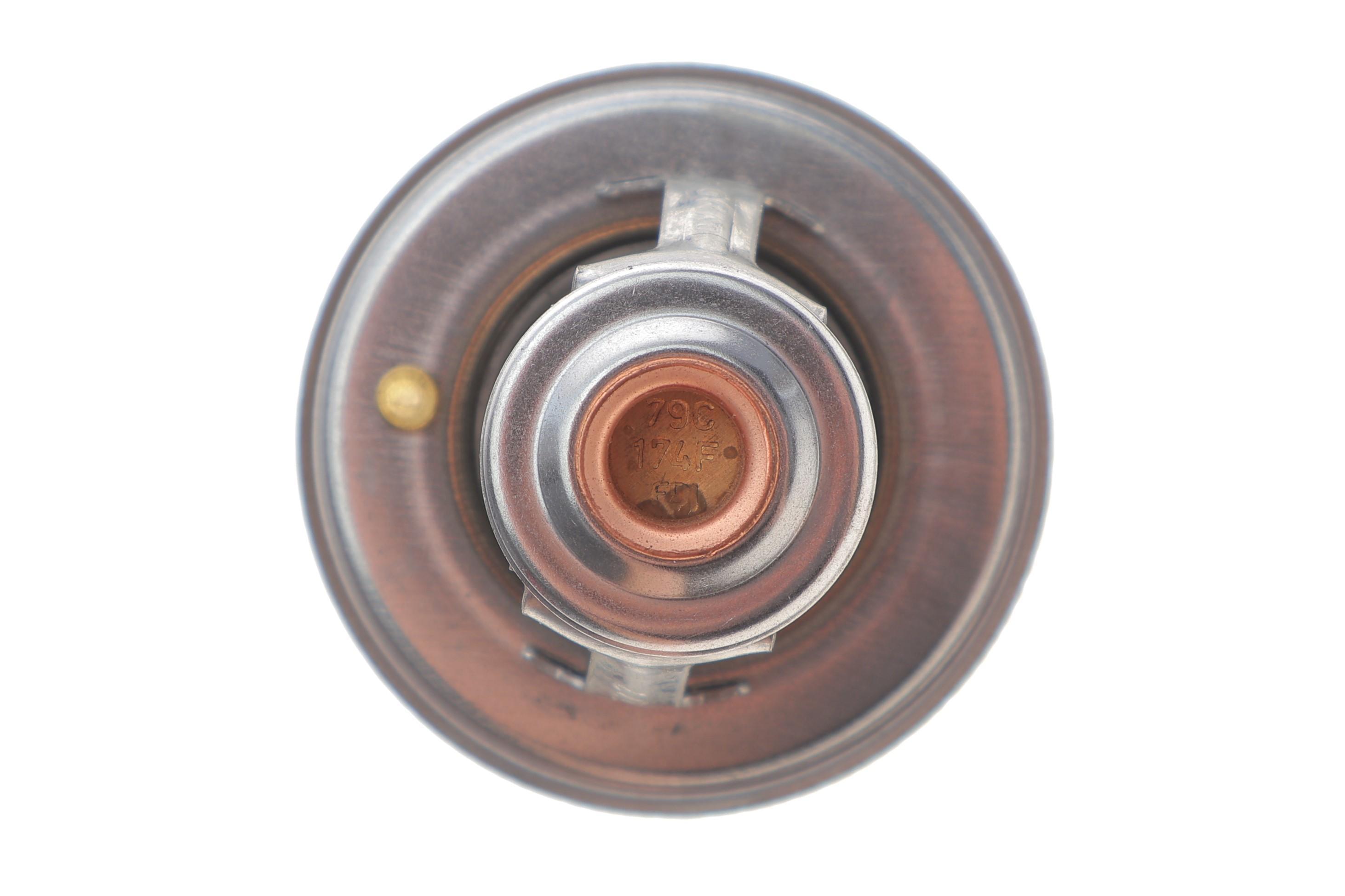 Термостат Renault Master II/Trafic 2.5-2.8D/TD/dTI 89-01 (79°C)