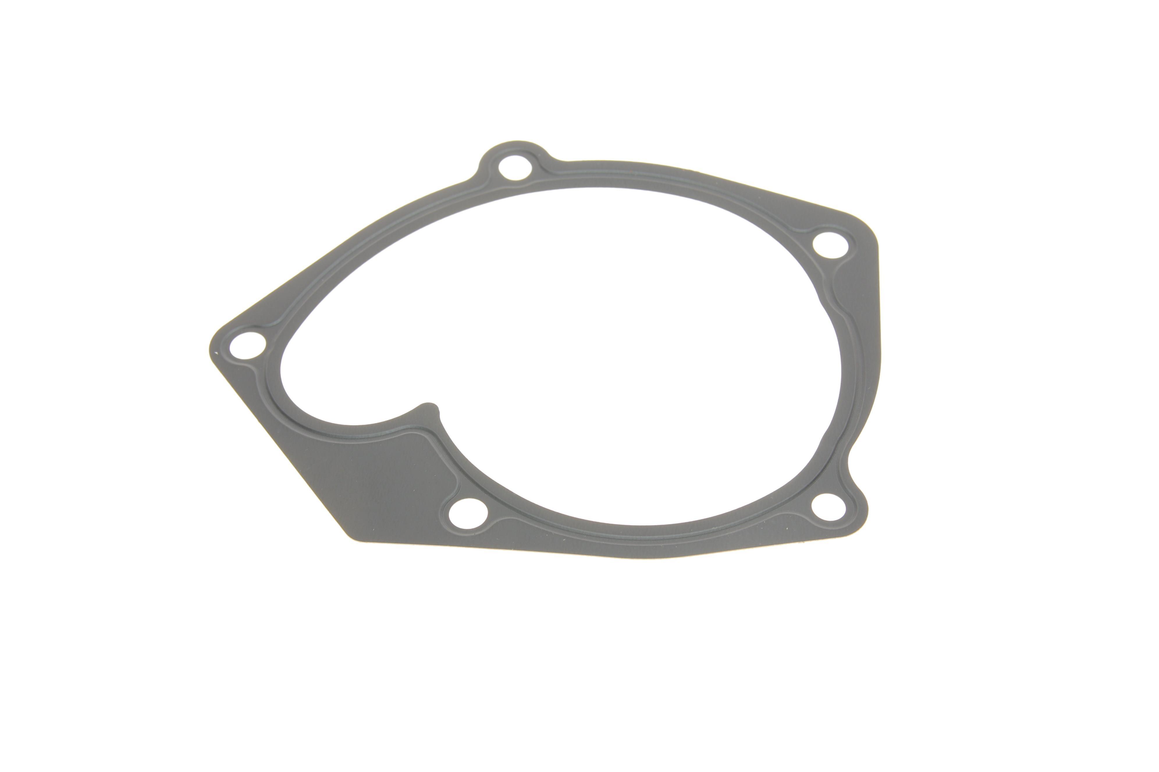 Помпа води Renault Scenic III/Megane III 1.9 dCi 08-