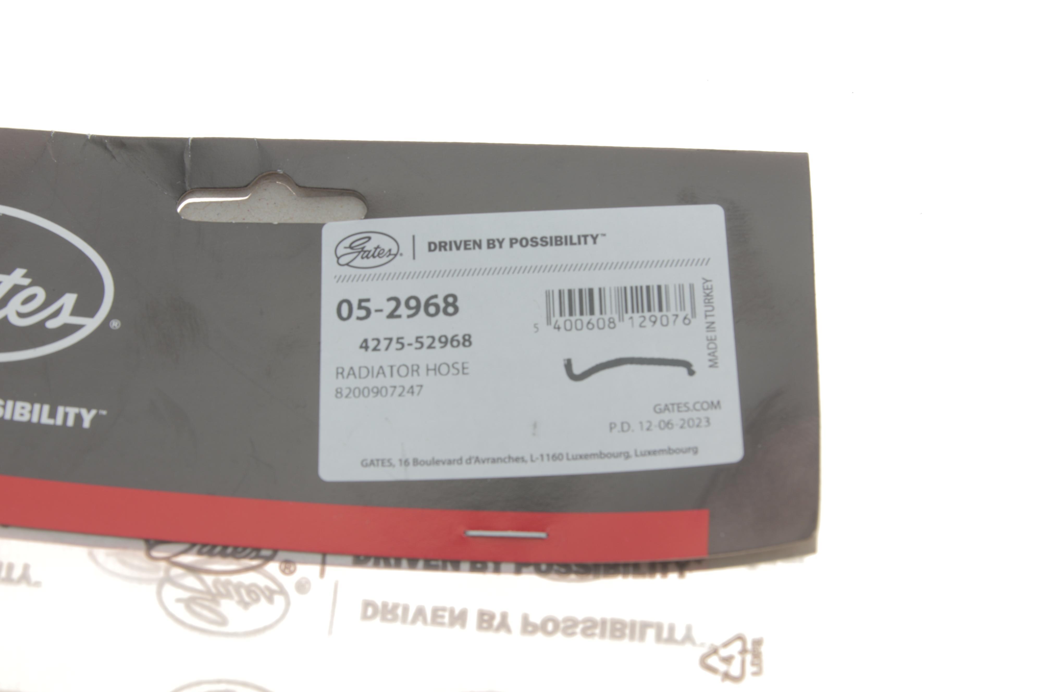 Патрубок радіатора (нижній) Renault Kangoo 1.5D 08-