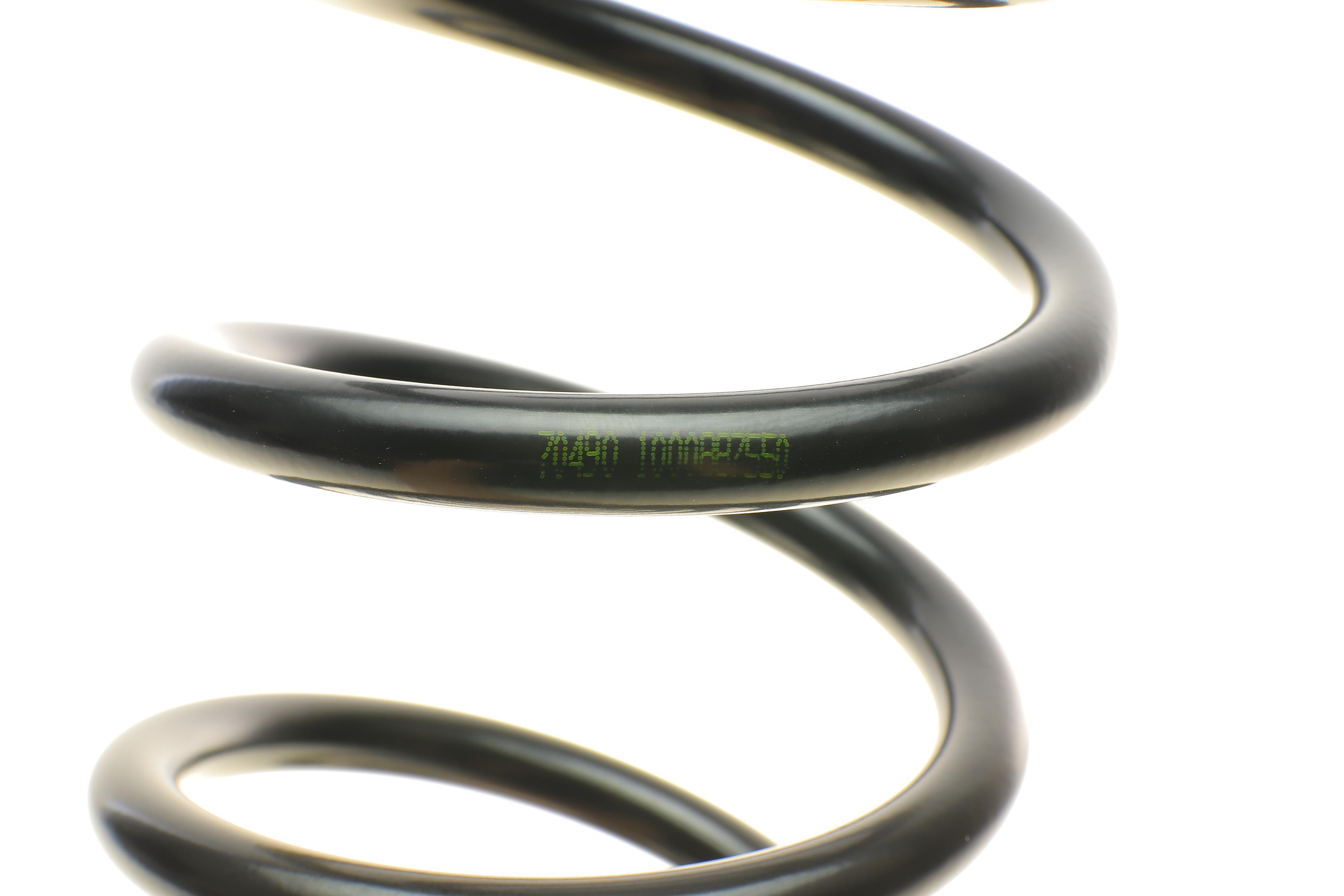 Пружина (задня) BMW 5 (F10) 520d-535d xDrive 11-16 (седан) (без М-техн)