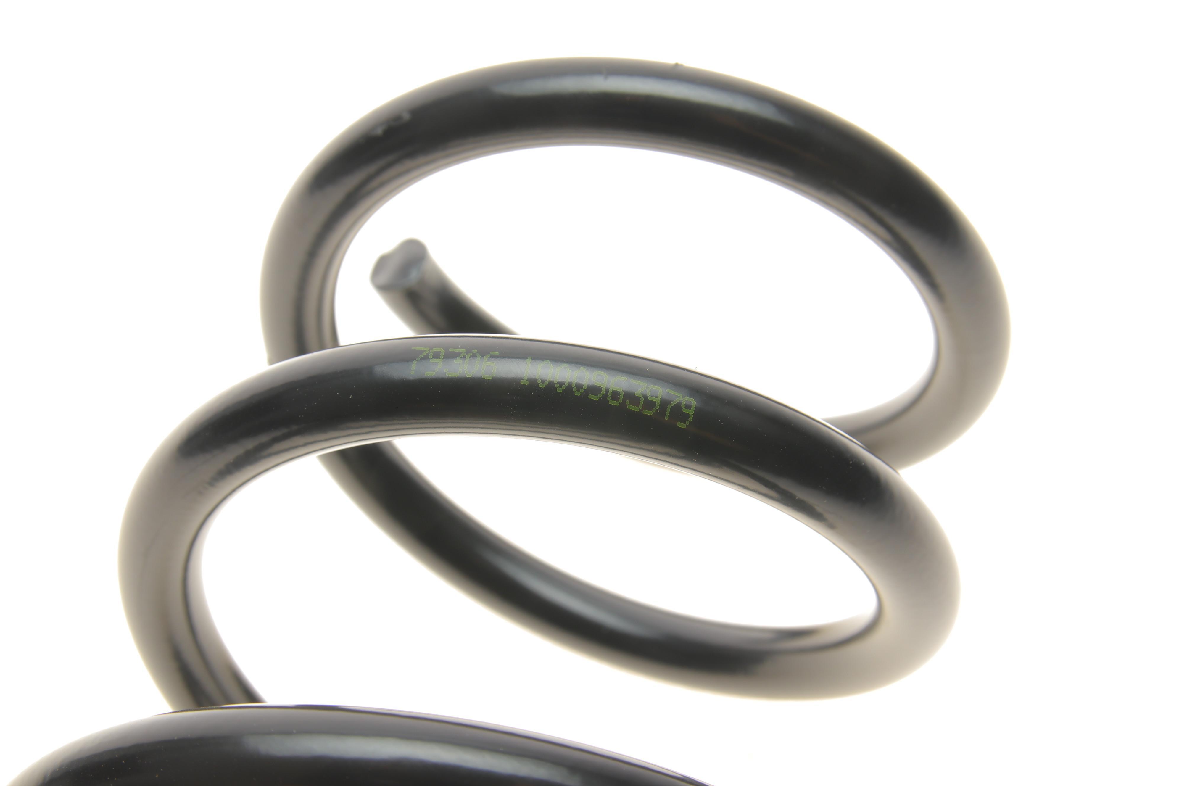 Пружина (задня) Ford C-Max 1.6-2.0/1.6-2.0TDCI 07-10 (вен) (346mm)