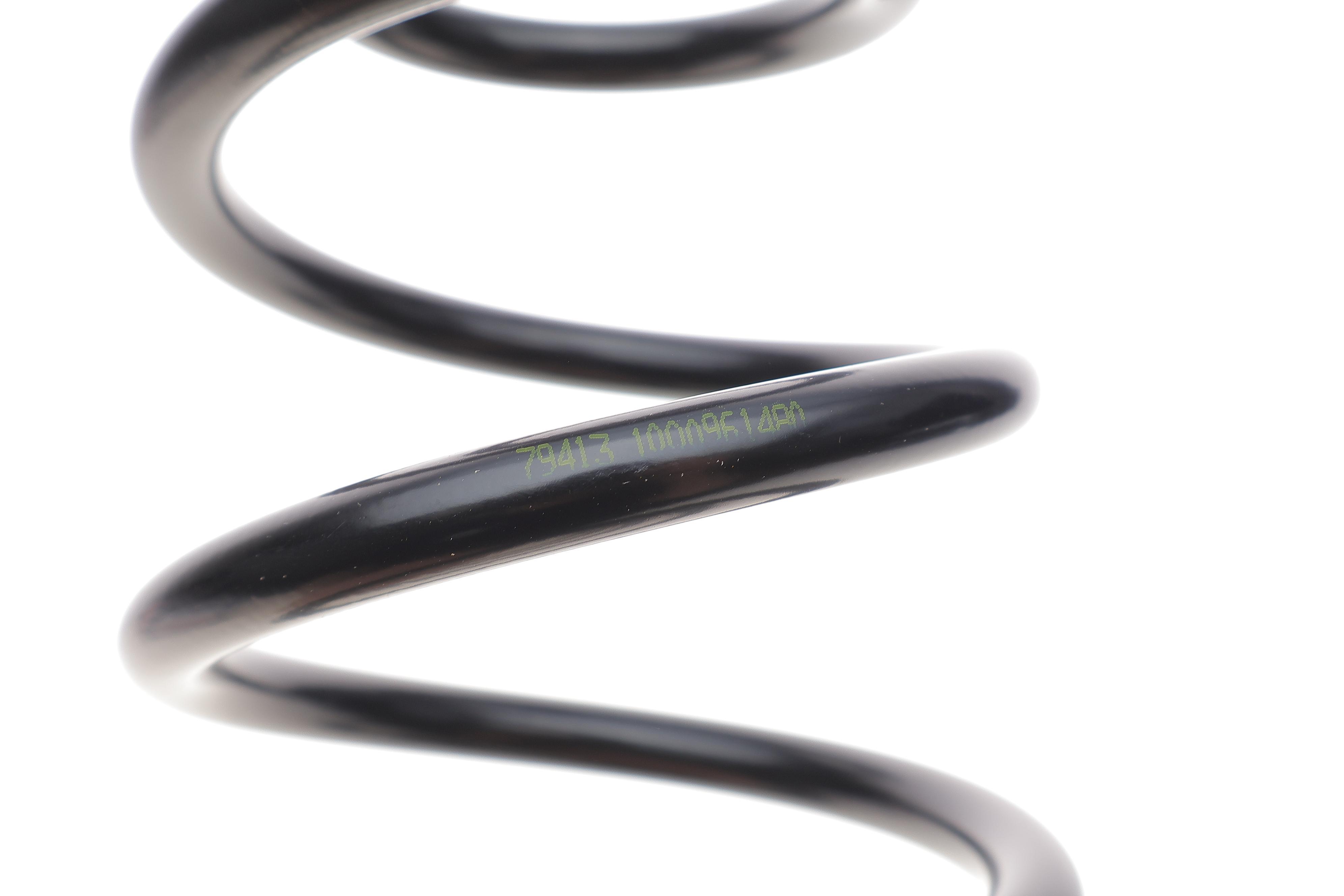 Пружина (задня) Renault Scenic III 1.4-2.0 16V/1.5-2.0dCi 09- (вен)