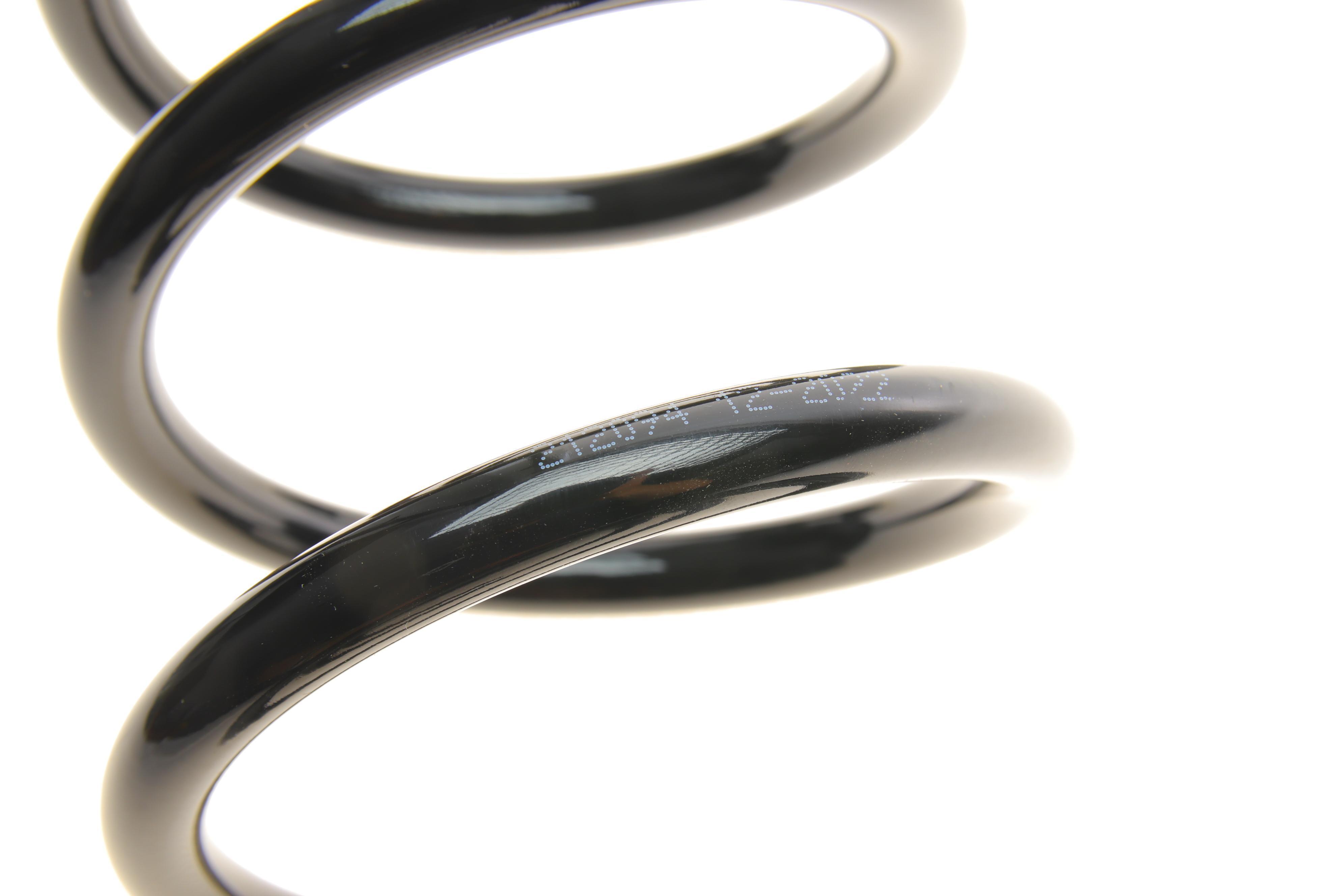 Пружина (задня) Ford Focus II 1.4-2.0/1.6-2.0TDCi/1.8 Flexifuel 04-12 (седан/нах.зад.частина)