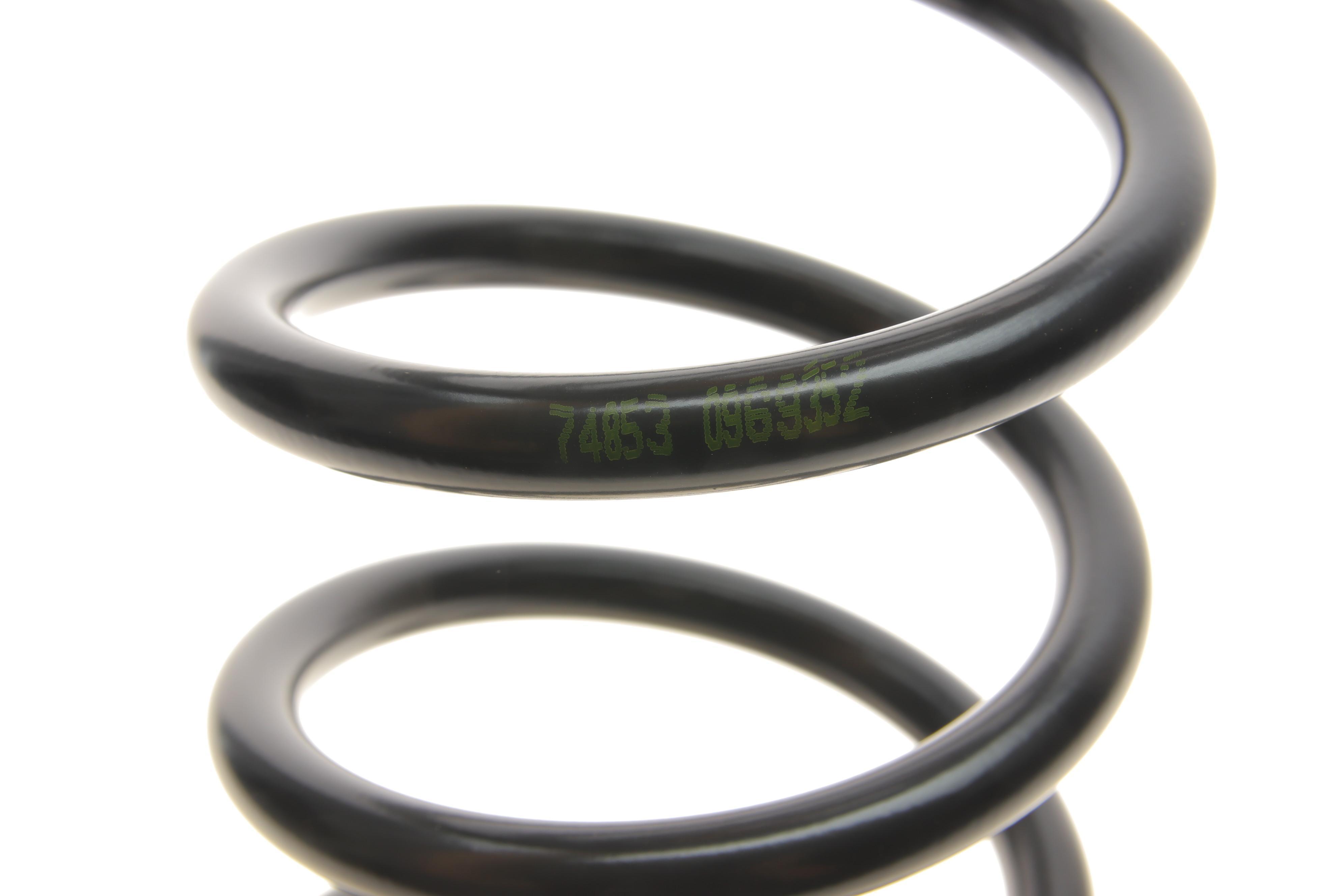 Пружина (задня) Ford Focus C-Max 1.6-2.0/1.6-2.0TDCi 03-07 (вен)