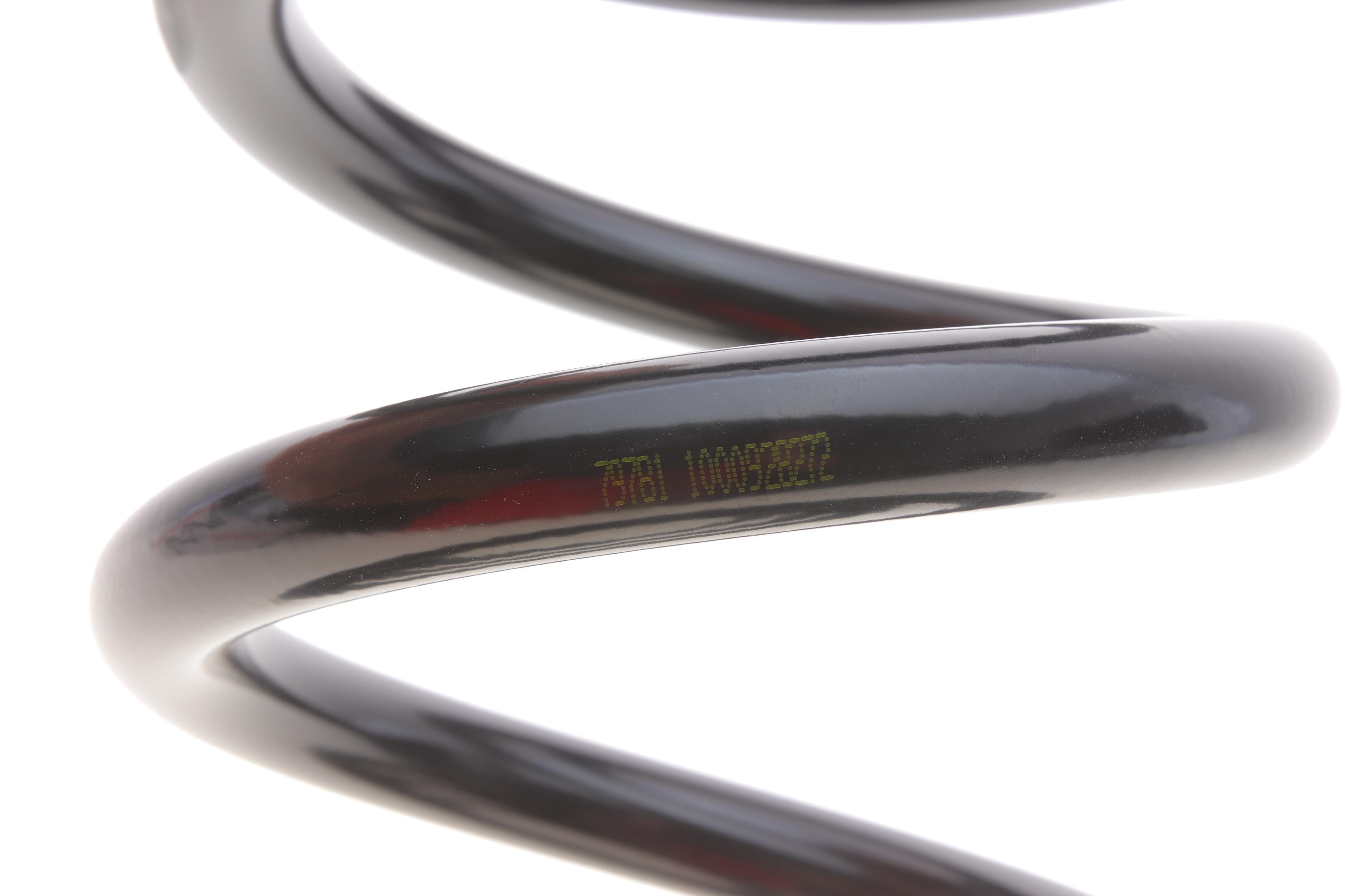 Пружина (задня) Mitsubishi Pajero IV 3.0 4WD/3.2DI-D/TD/3.8 V6 06- (SUV) (V98W 07-10, V97W 06-)