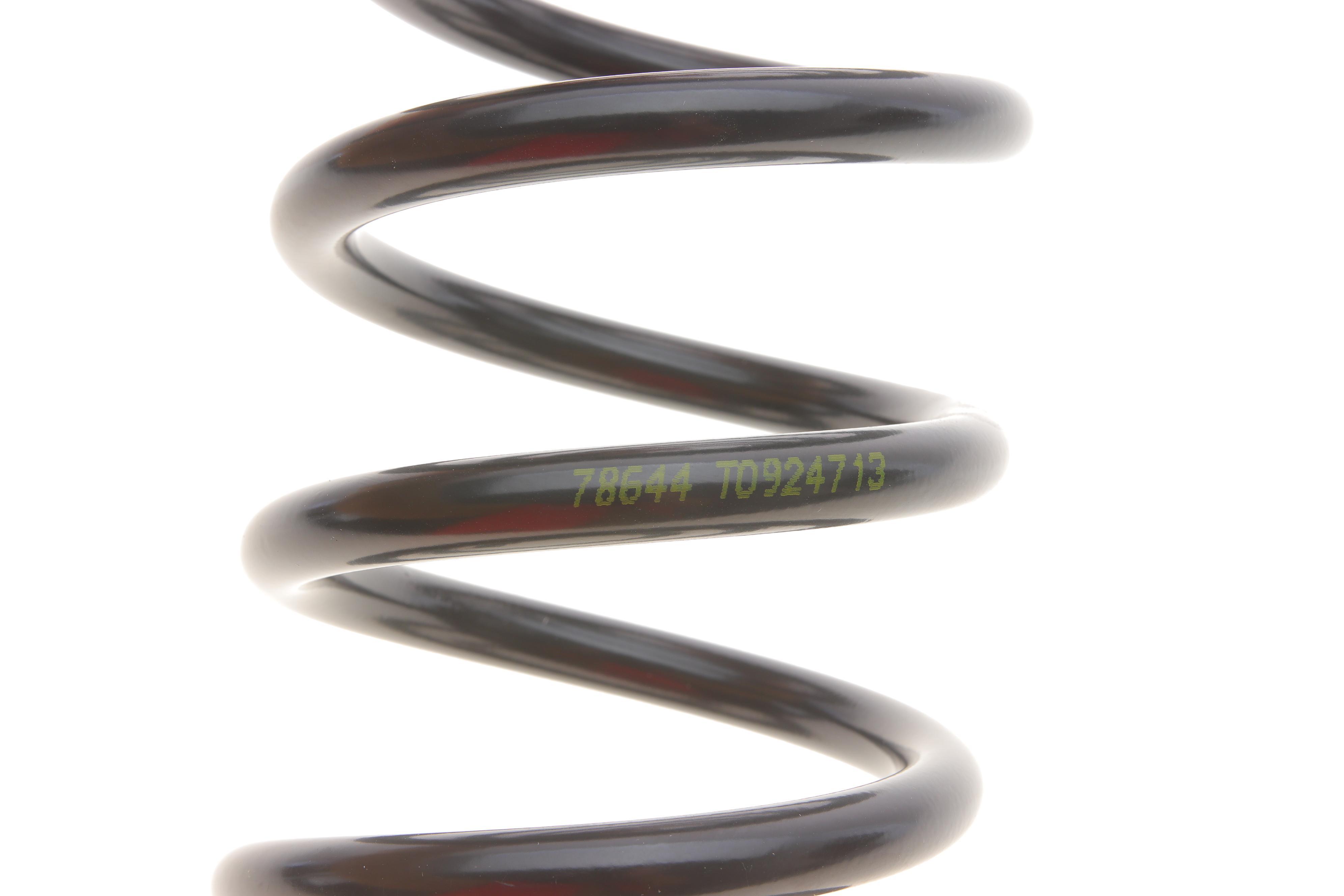 Пружина (задня) Renault Scenic II 1.4-2.0/1.5dCi/1.9dCi/2.0dCi 03-10 (вен)