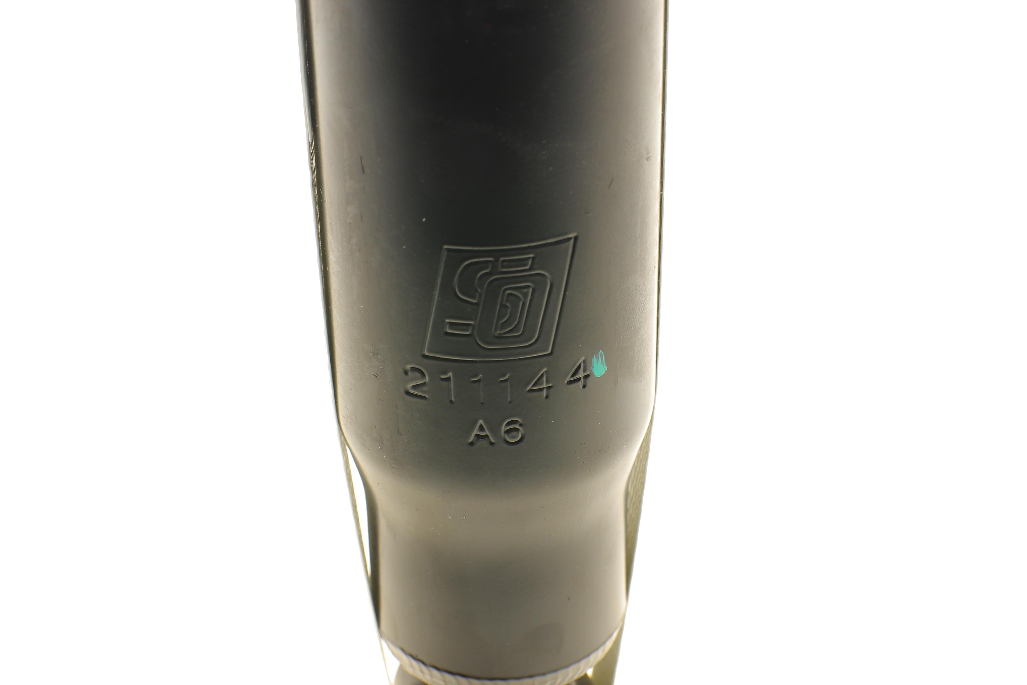 Амортизатор (задній) Fiat Scudo/ Citroen Jumpy 07- (Газ)