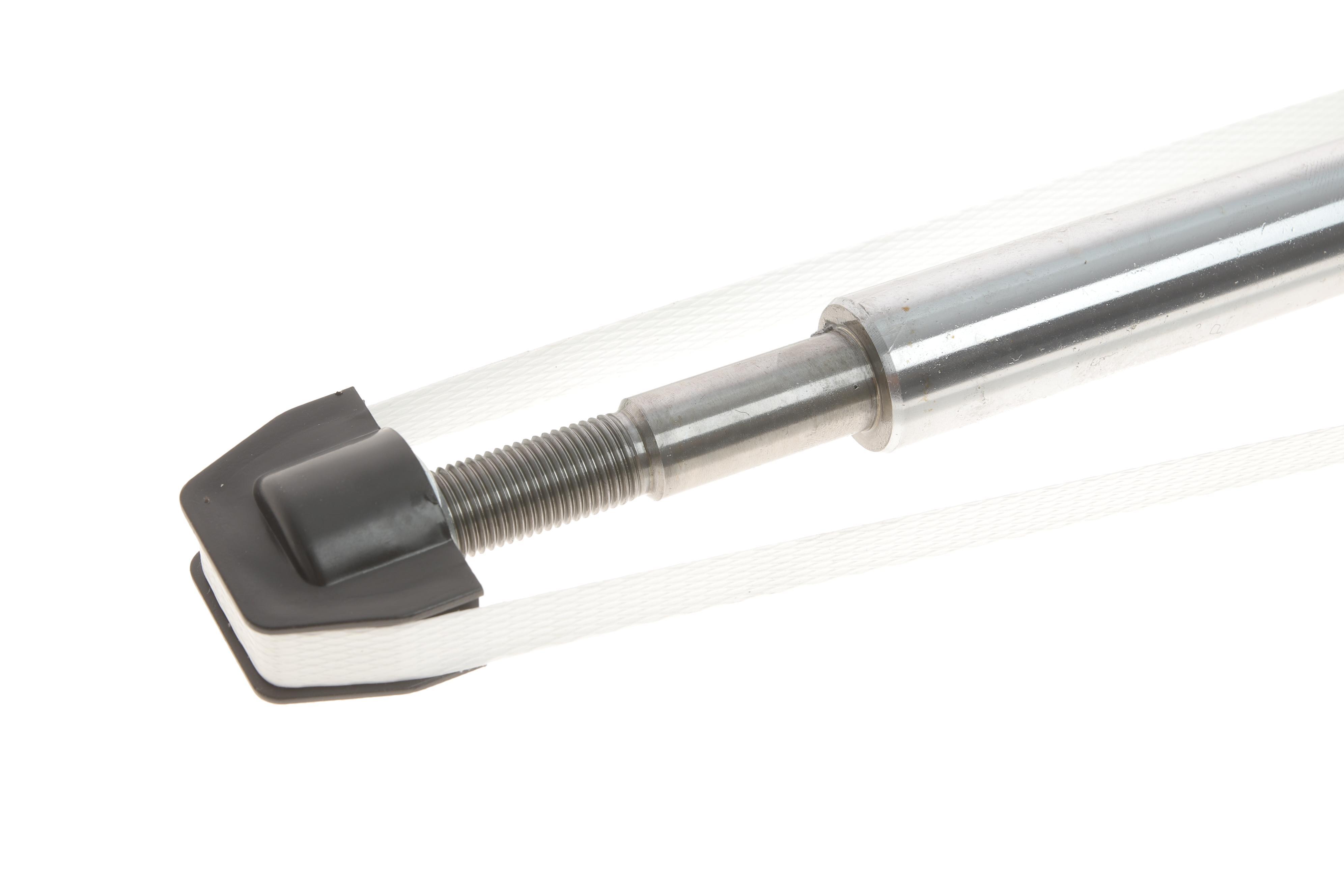 Амортизатор (передній) Renault Trafic 01- (Газ)