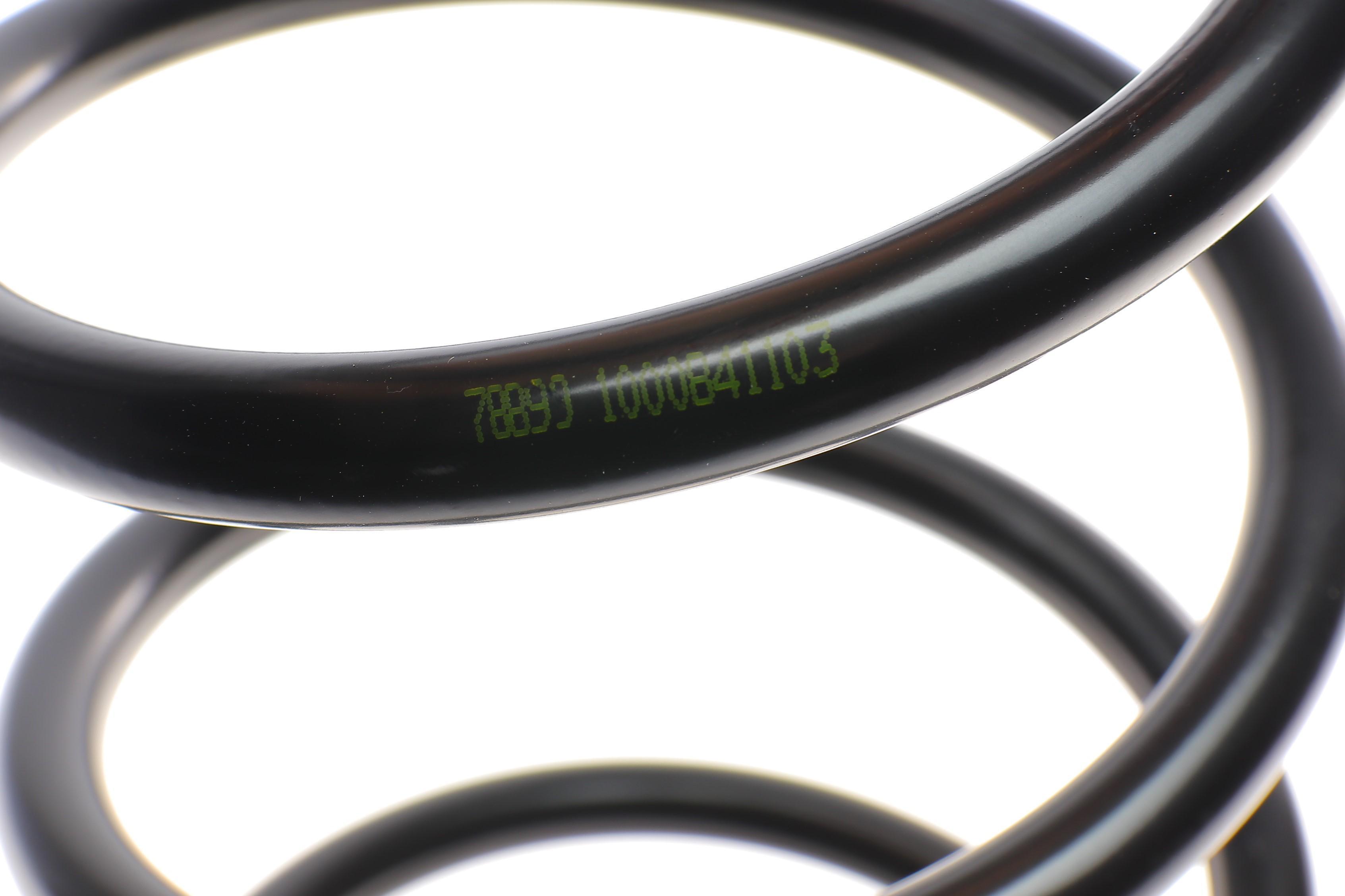 Пружина (передня) Skoda Octavia II 2.0RS/TDI RS/VW Golf V/VI/Audi A3 1.9-2.0TDI 03-13 (з спорт.х.ч)