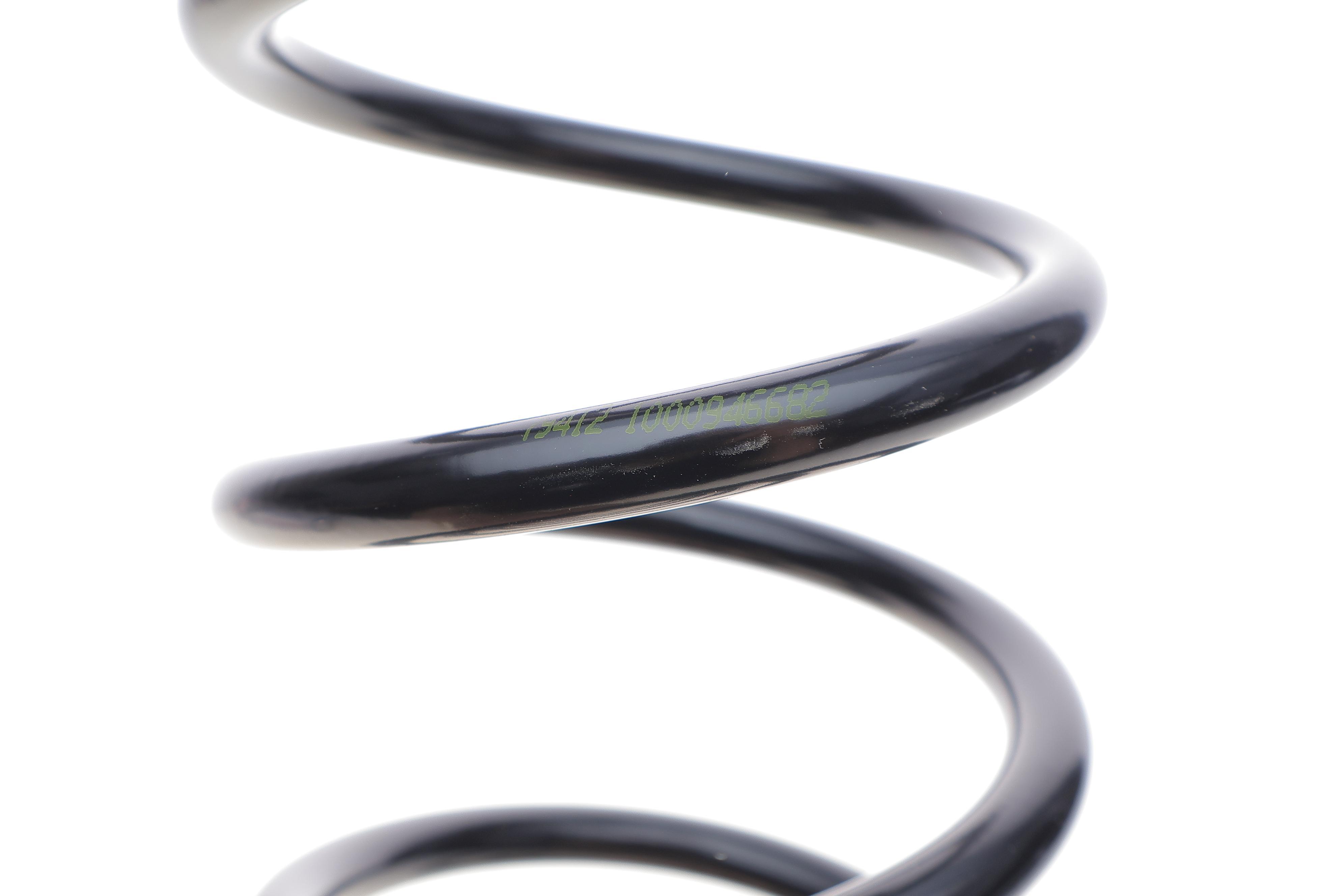 Пружина (задня) Renault Megane III 1.2TCe/1.4TCe/1.5-1.9dCi/1.6 16V 08- (нах.зад.частина)