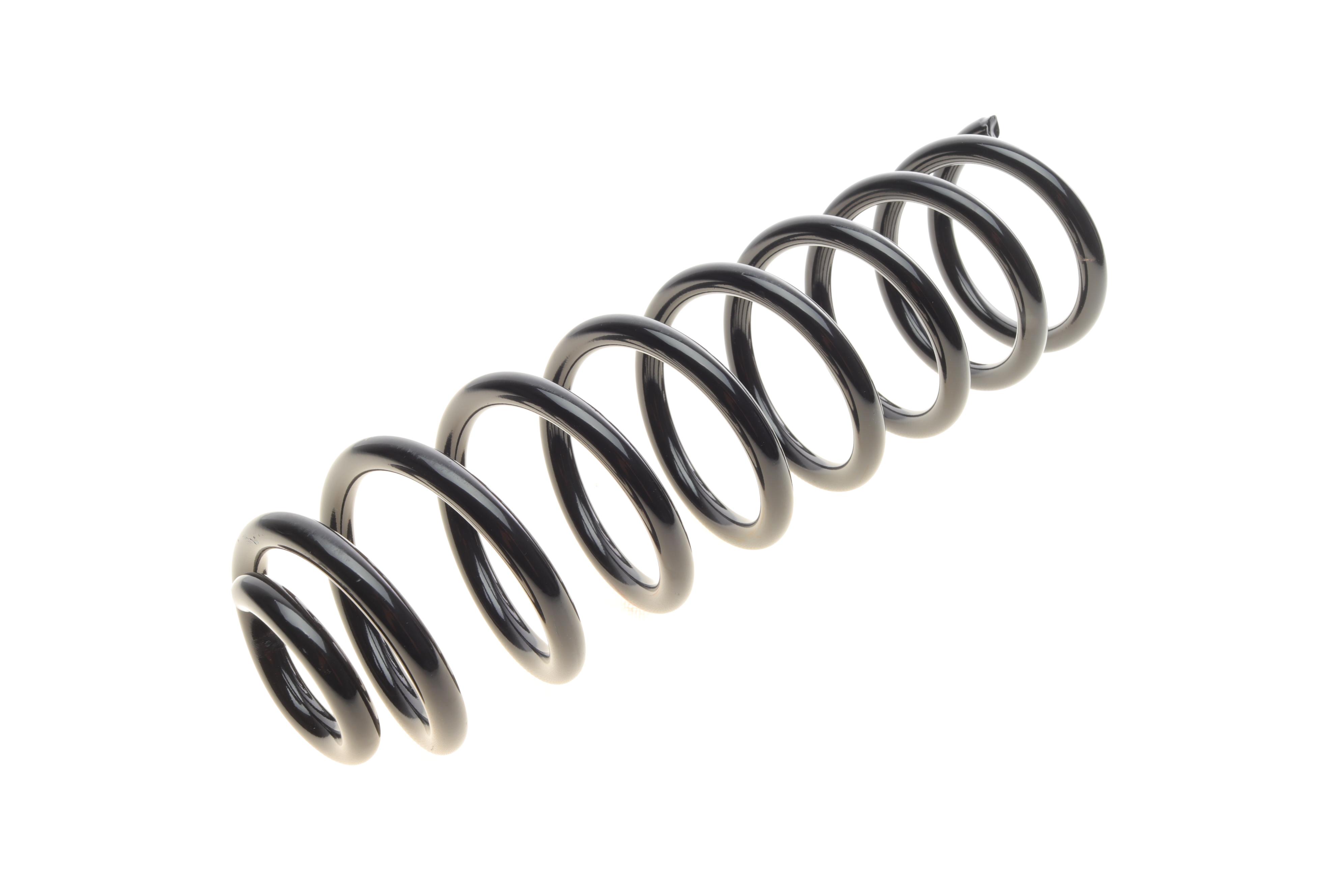 Пружина (задня) Renault Grand Scenic II 1.5dCi/1.9dCi/2.0dCi/1.6/2.0 04-09 (вен)