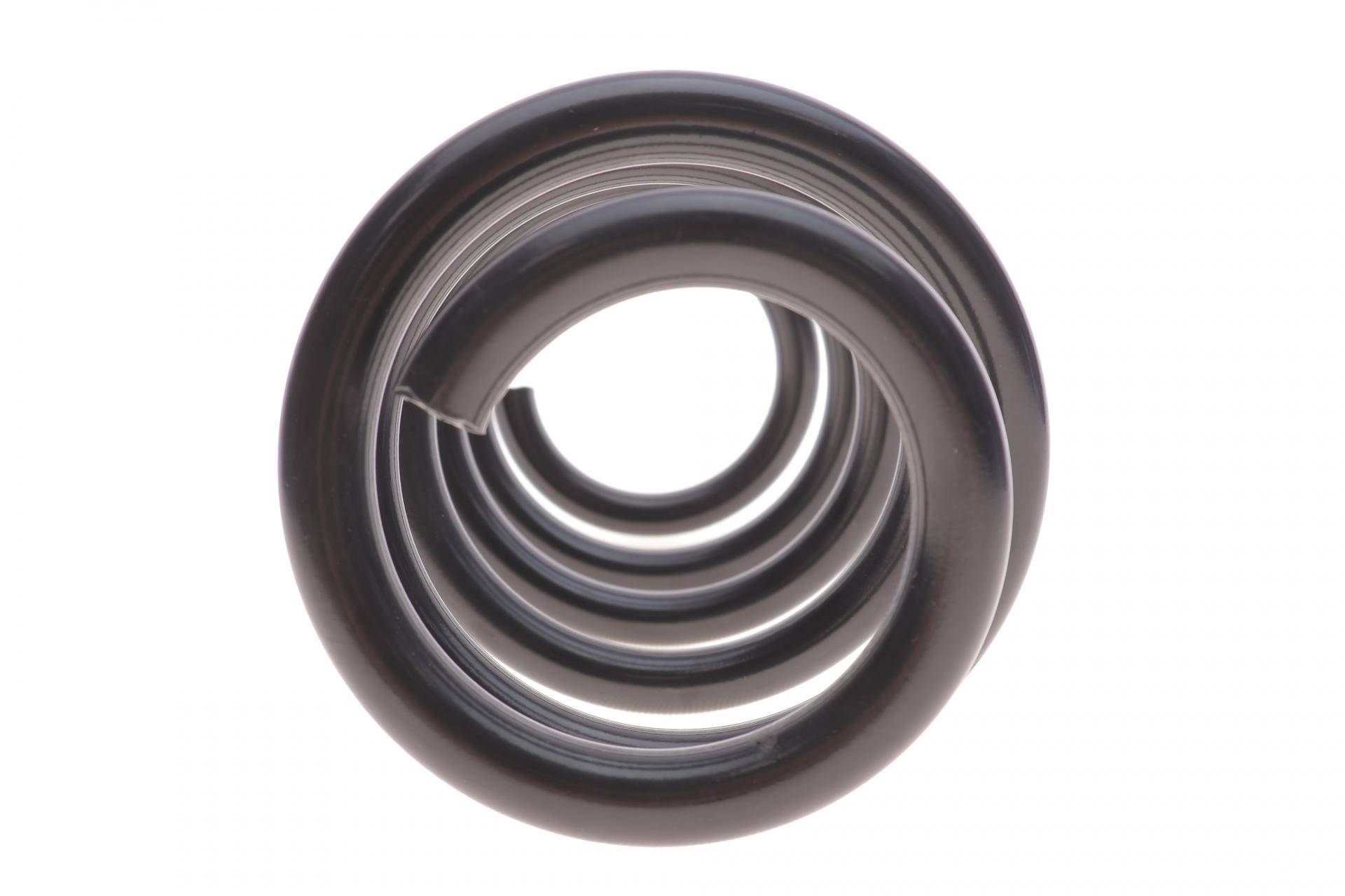 Пружина (задня) Toyota Rav 4 III 2.0 4WD/2.2 D 4WD 05-13 (SUV)