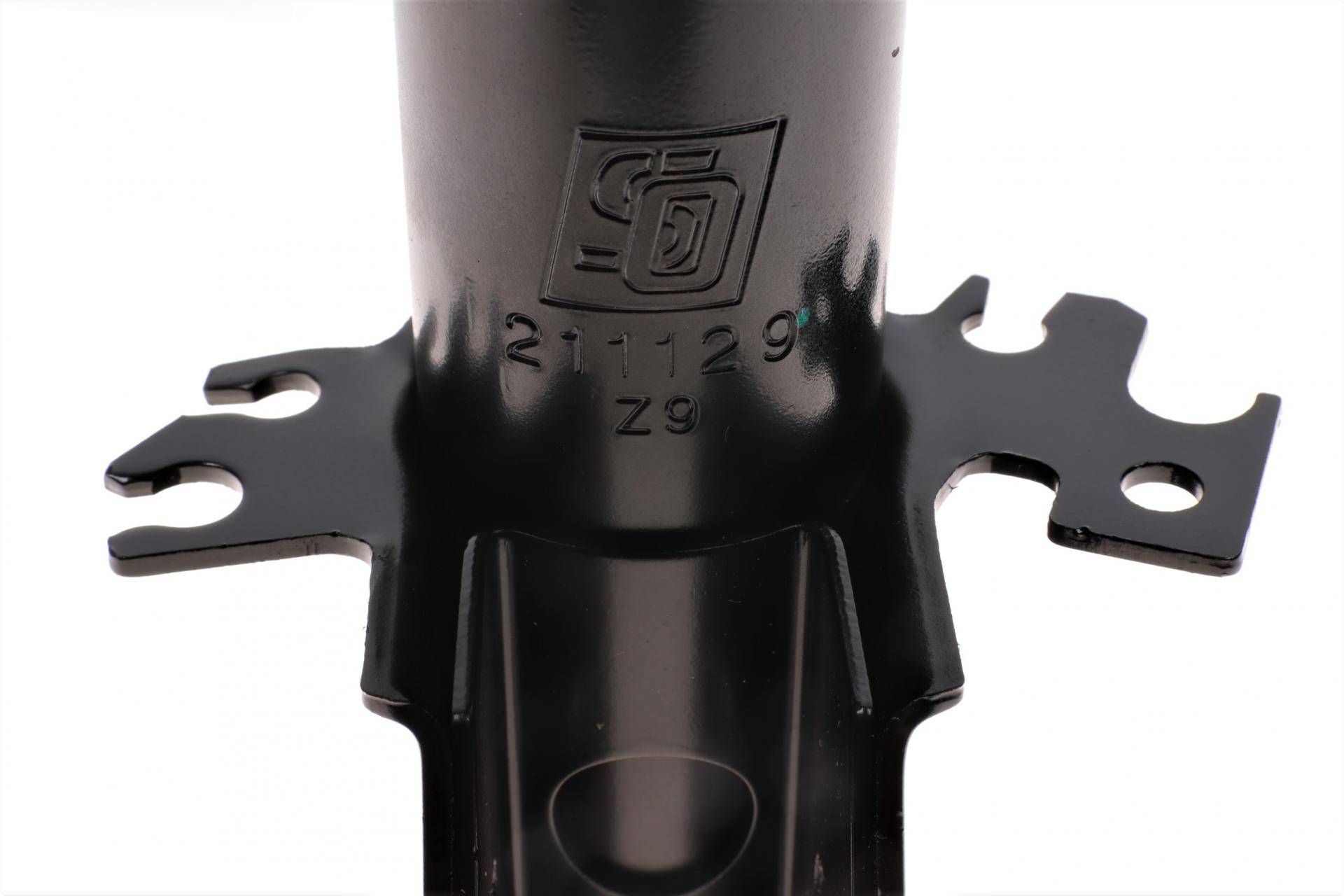 Амортизатор (передній) Citroen Jumpy/Fiat Scudo/Peugeot Expert 07- (R) (Газ)