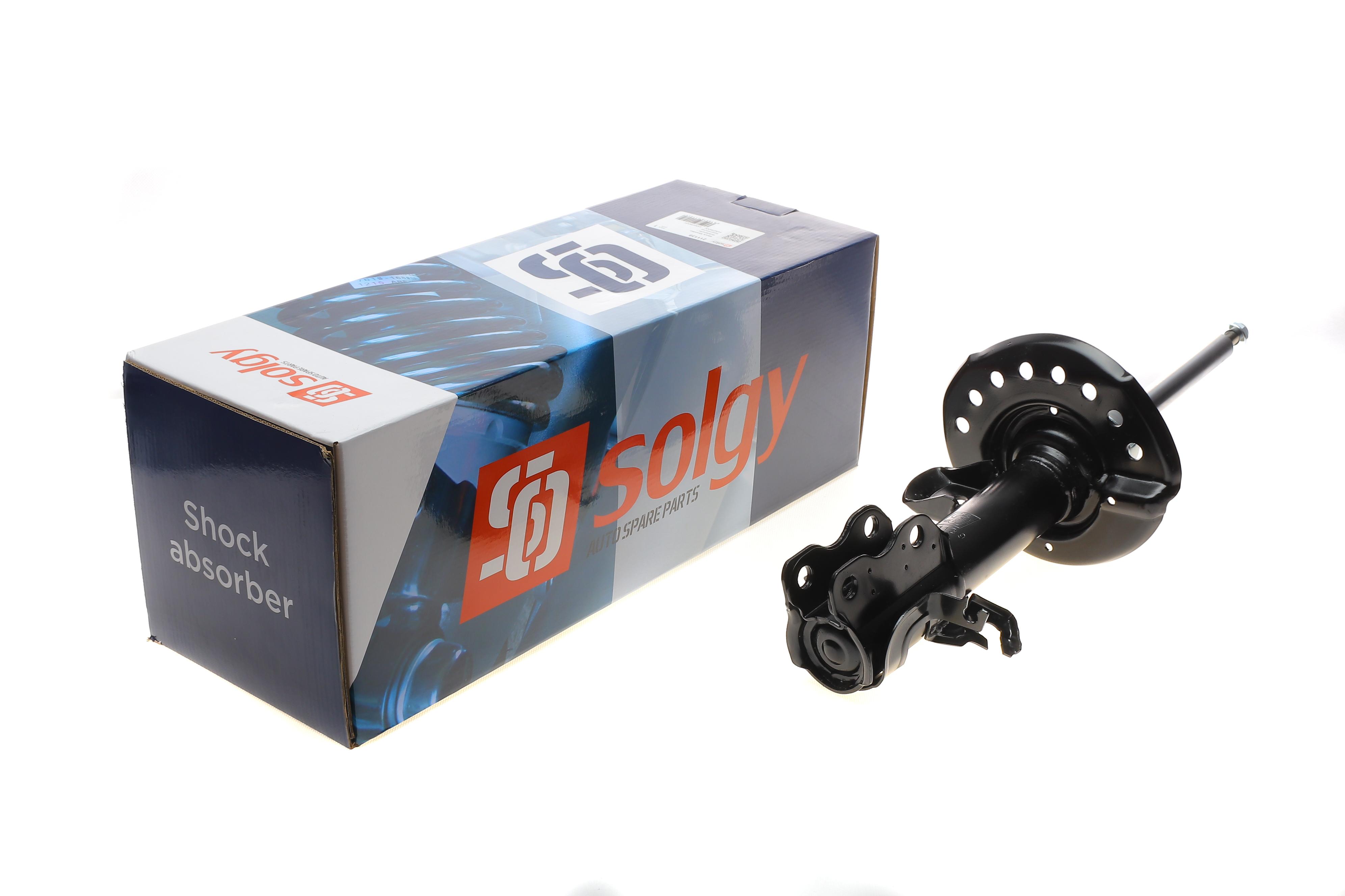 Амортизатор (передній) Nissan Leaf 10- (R) (Газ)