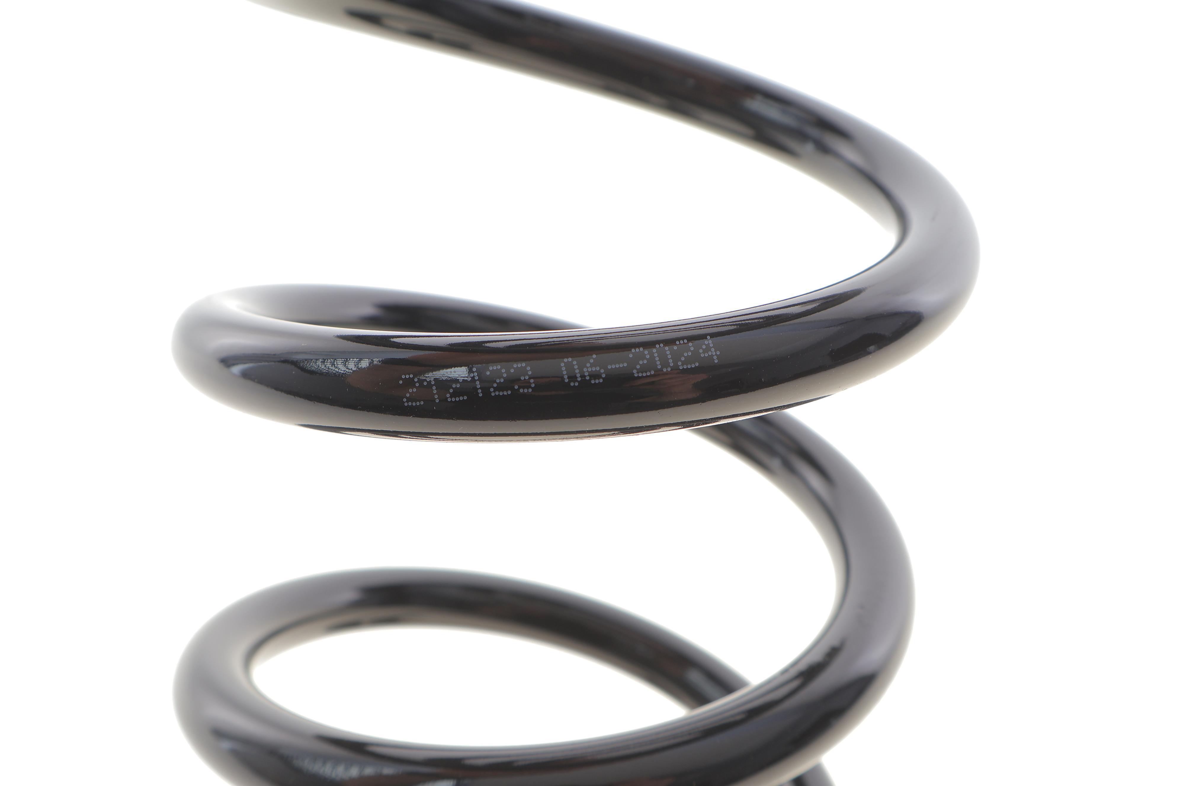 Пружина (задня) Ford Focus C-Max 1.6-2.0/1.6-2.0TDCi 03-07