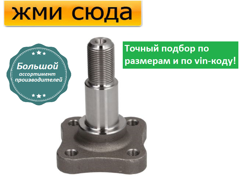 Цапфа задньої маточини Рено Кліо 2, 3, Ніссан Мікра 3, Дача Сандеро (1.2-1.9 D) 1998-
